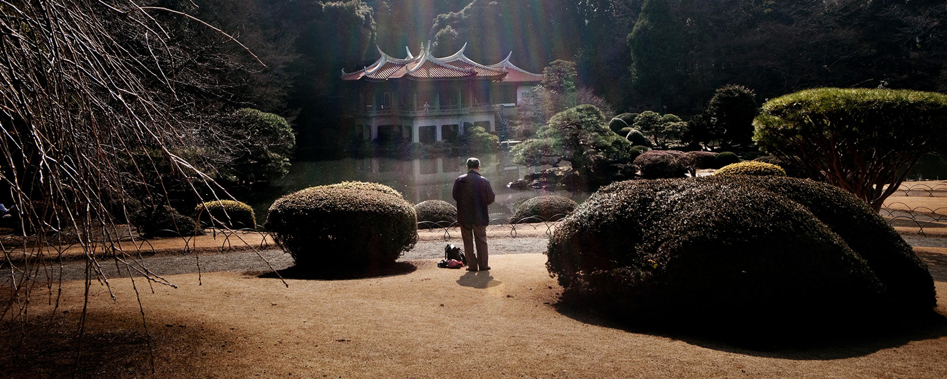 A person in a garden facing a traditional Japanese building with a curved roof across a pond, surrounded by trees and bushes.