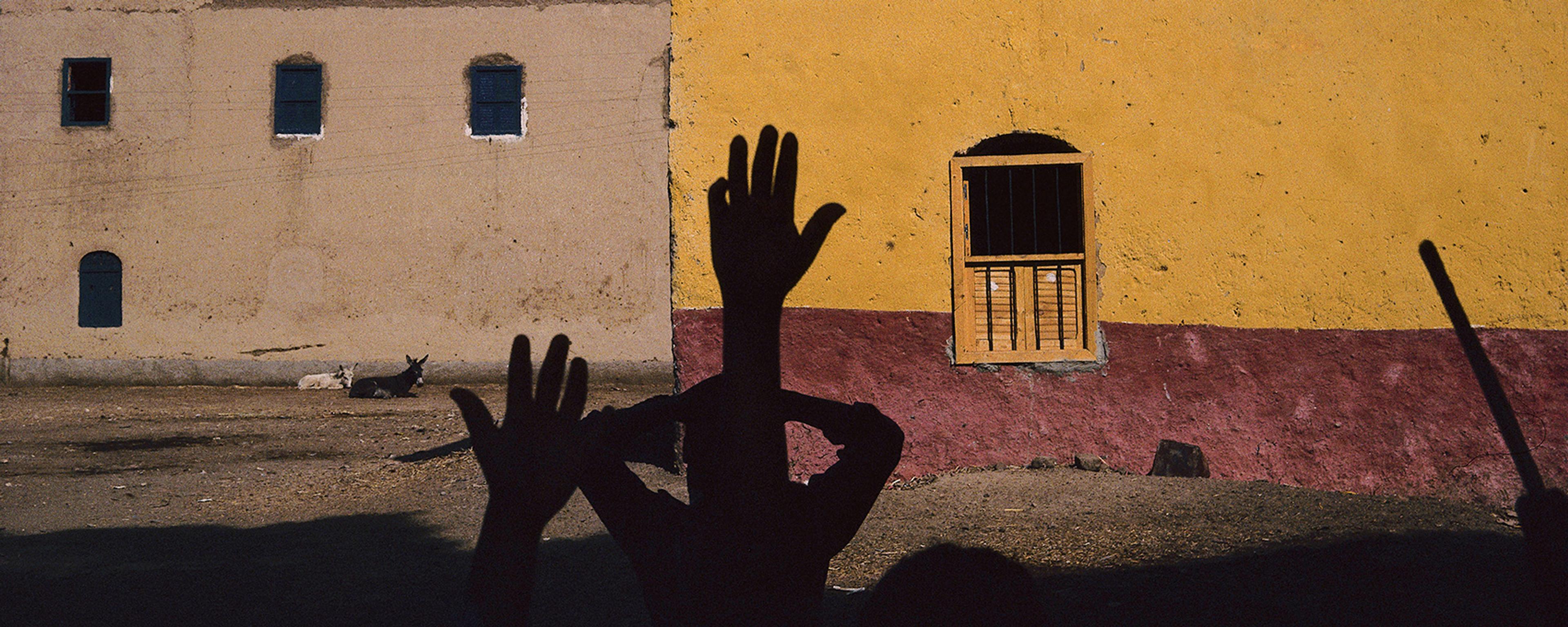 A building with yellow wall, hands in silhouette in foreground, and animals resting in the sun.