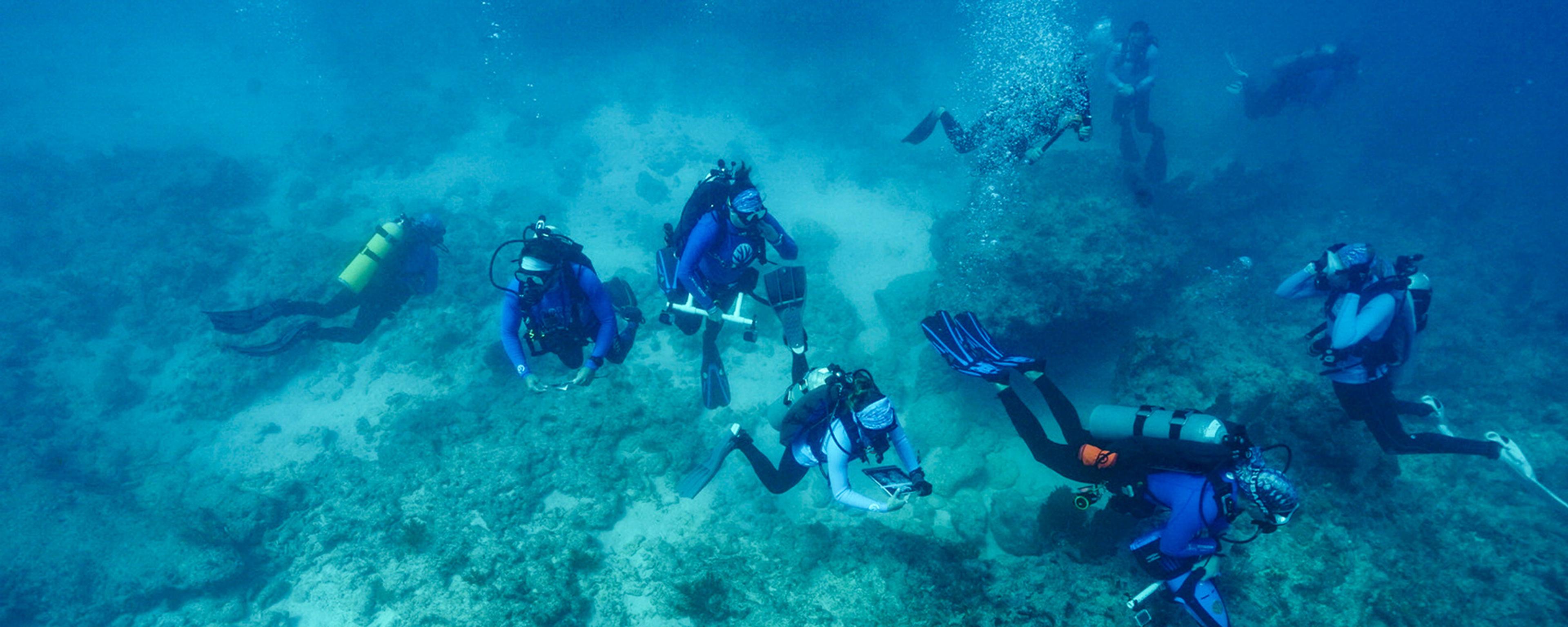 Photo of seven scuba divers exploring an underwater rocky area with bubbles rising in a clear blue ocean setting.