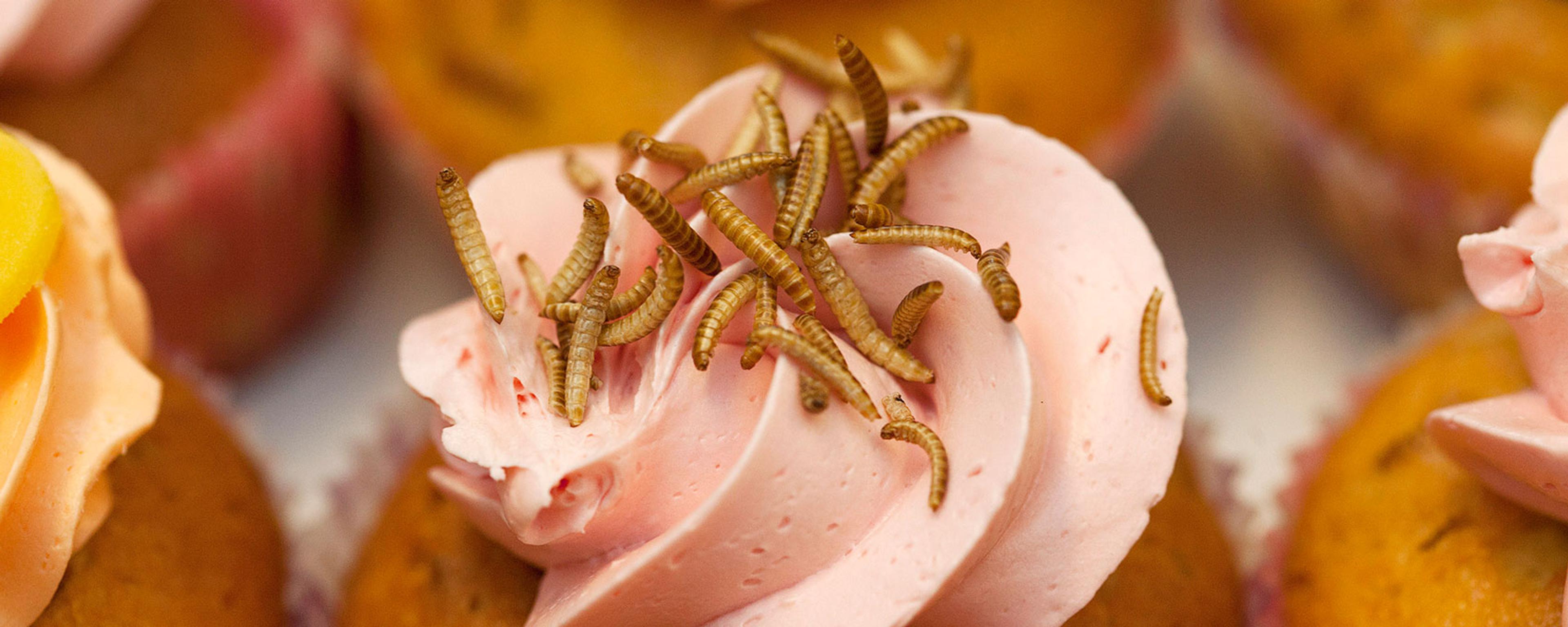 A cupcake with pink icing topped with mealworms, surrounded by other cupcakes.