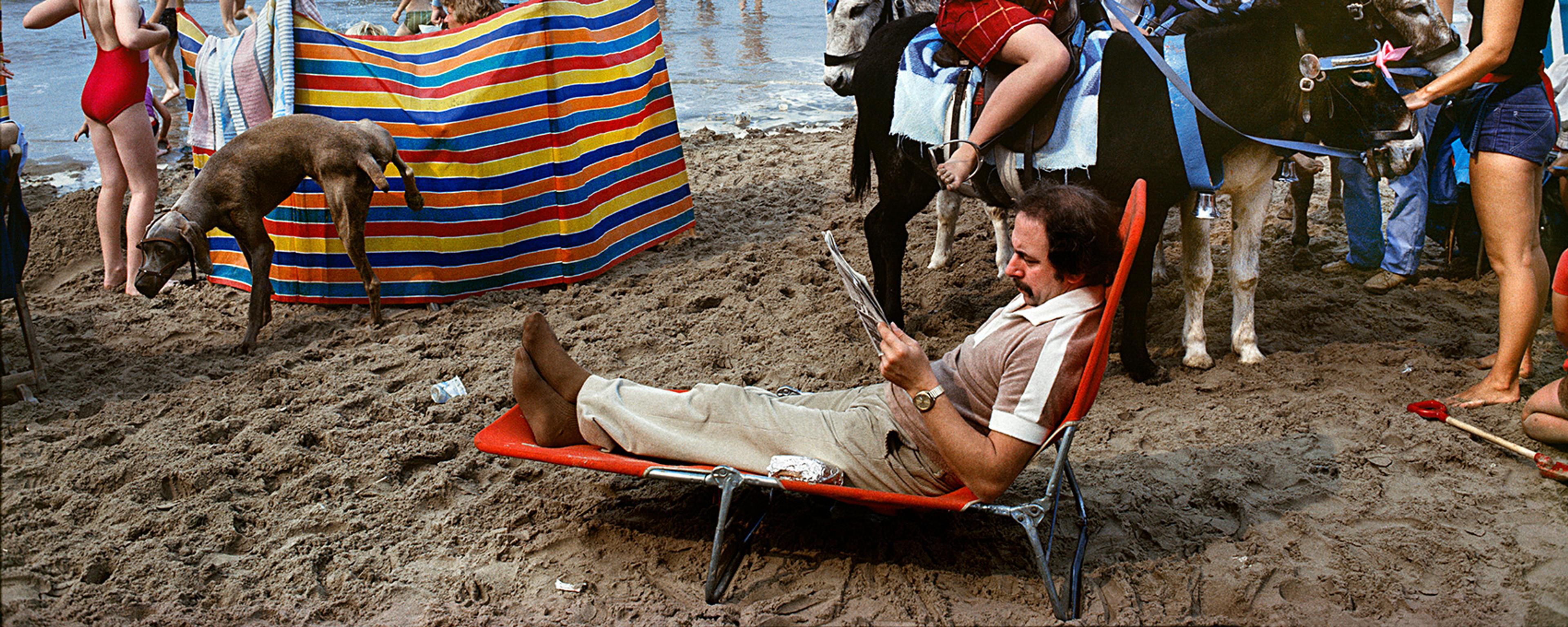 A busy beach scene with children on donkeys, people in the sea, a man reading on a sun lounger, and a dog urinating on a sun shade.