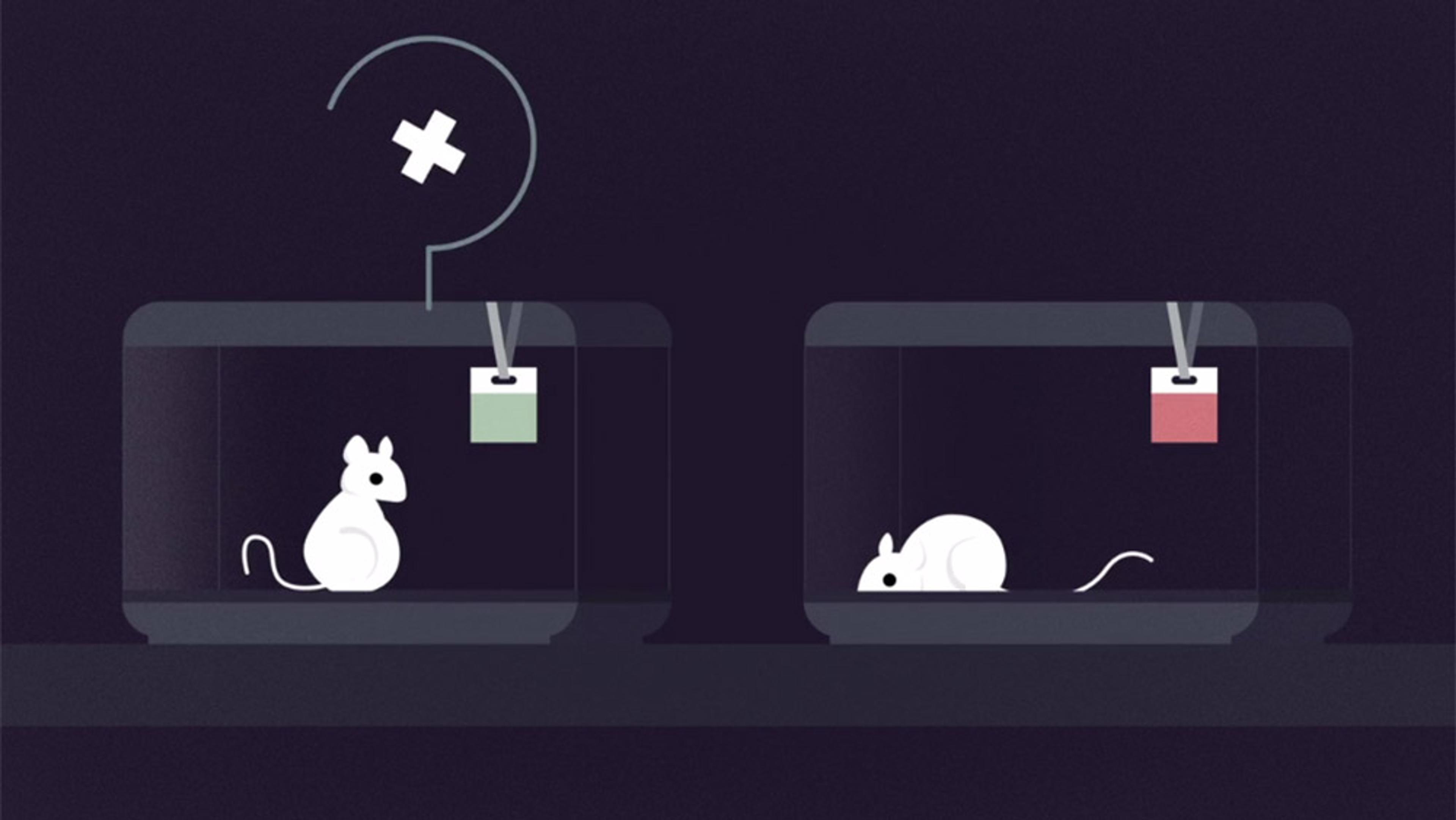 Illustration of two mice in separate enclosures, one sitting upright, the other crouching. Above, a question mark and cross symbol.