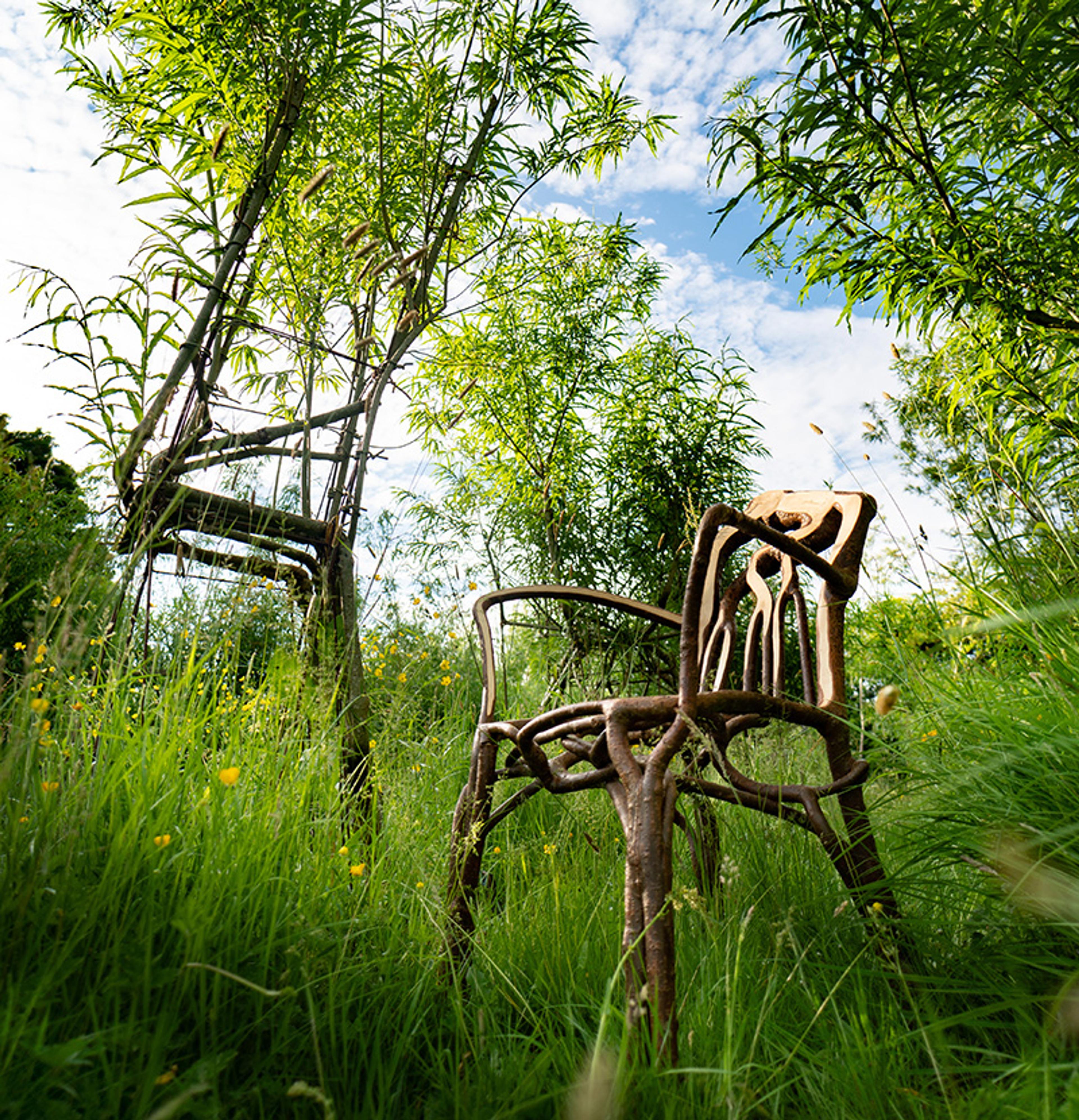 Two wooden chairs crafted from living tree branches in a lush grassy area with a bright sky and fluffy clouds overhead.