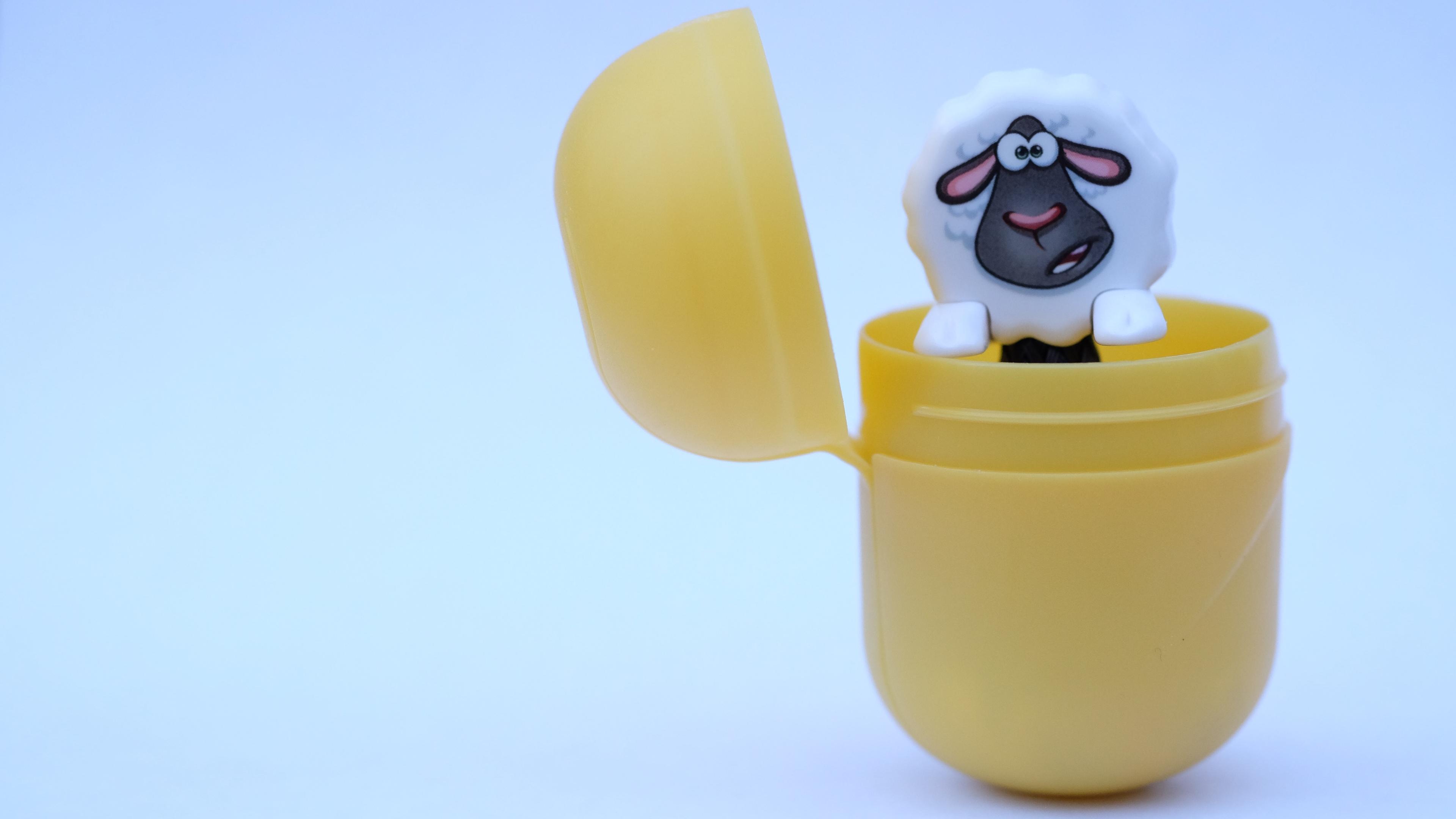 Photo of a toy sheep peeking out of an open yellow plastic capsule, set against a light blue background.