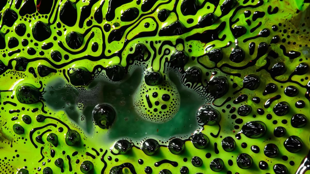 A radical reimagining of physics puts information at its centre | Aeon Videos