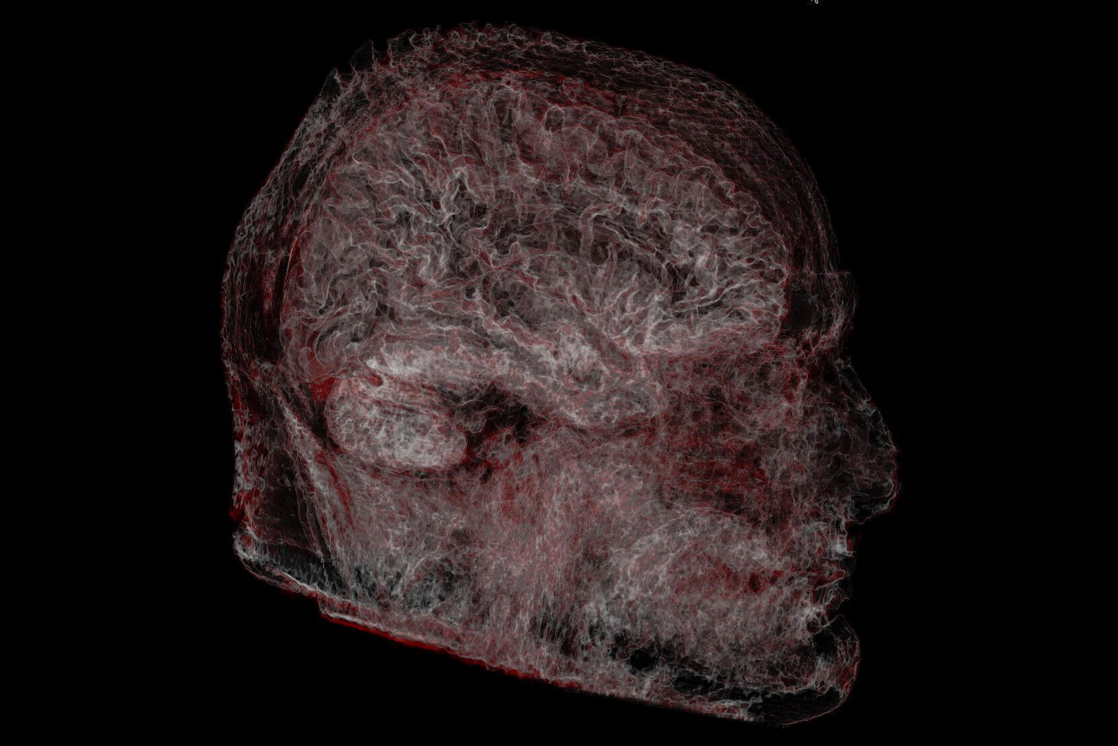 Abstract digital artwork of a side-profile human head with a textured, swirling pattern on a black background.