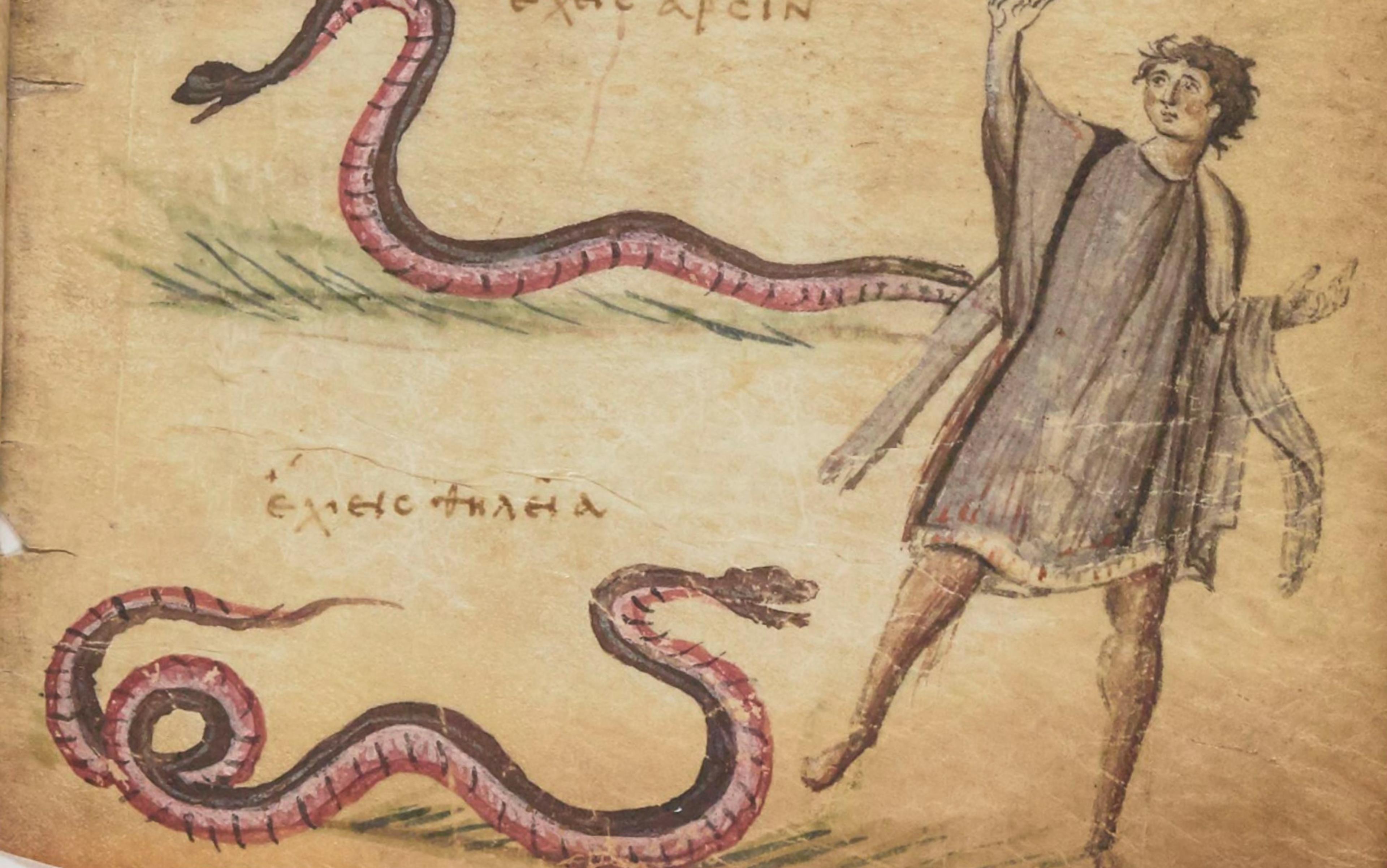 Medieval manuscript illustration of a man gesturing towards two red and black snakes, with Greek text above and below the images, on a faded parchment background.