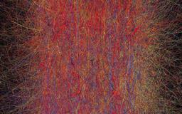 Abstract digital artwork with a dense network of interlacing red, yellow, blue and black lines on a dark, almost black, background.