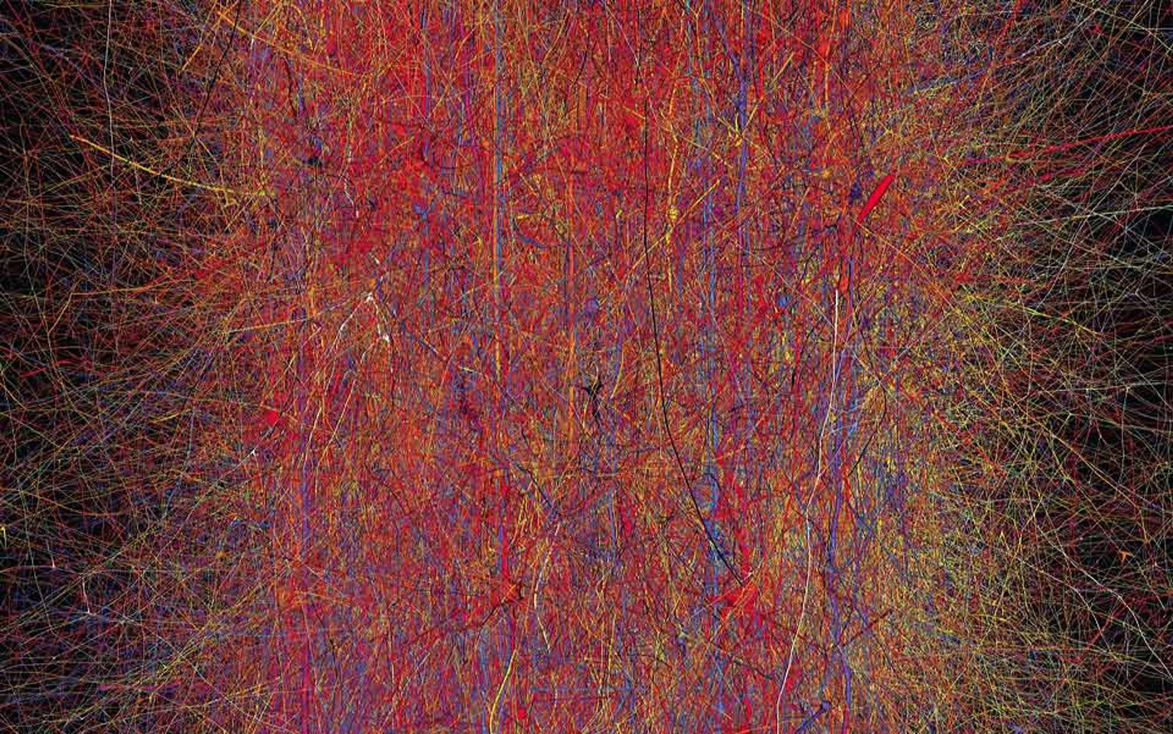 Abstract digital artwork with a dense network of interlacing red, yellow, blue and black lines on a dark, almost black, background.