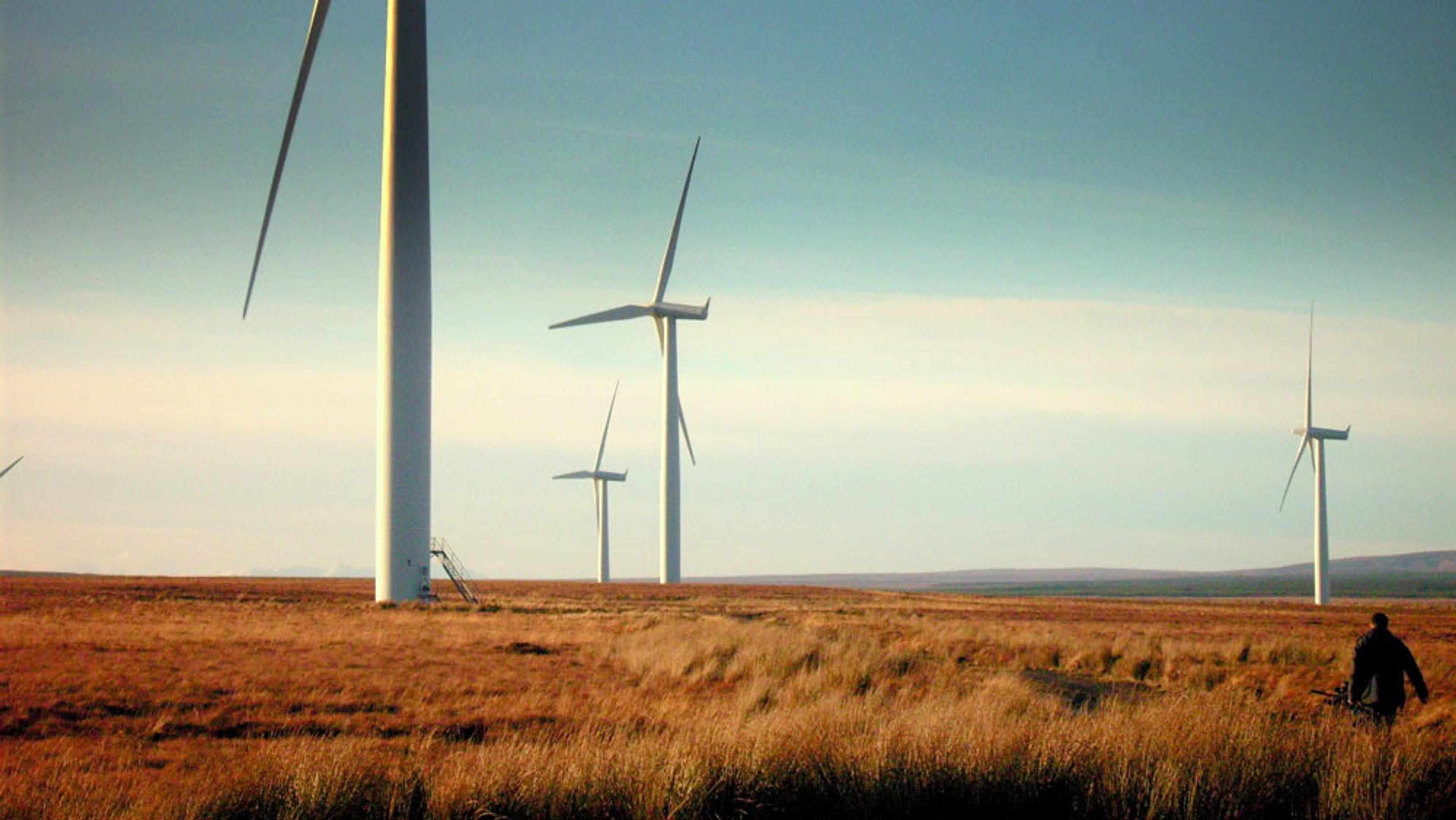 A man walking in a field with several wind turbines in the background under a clear sky.