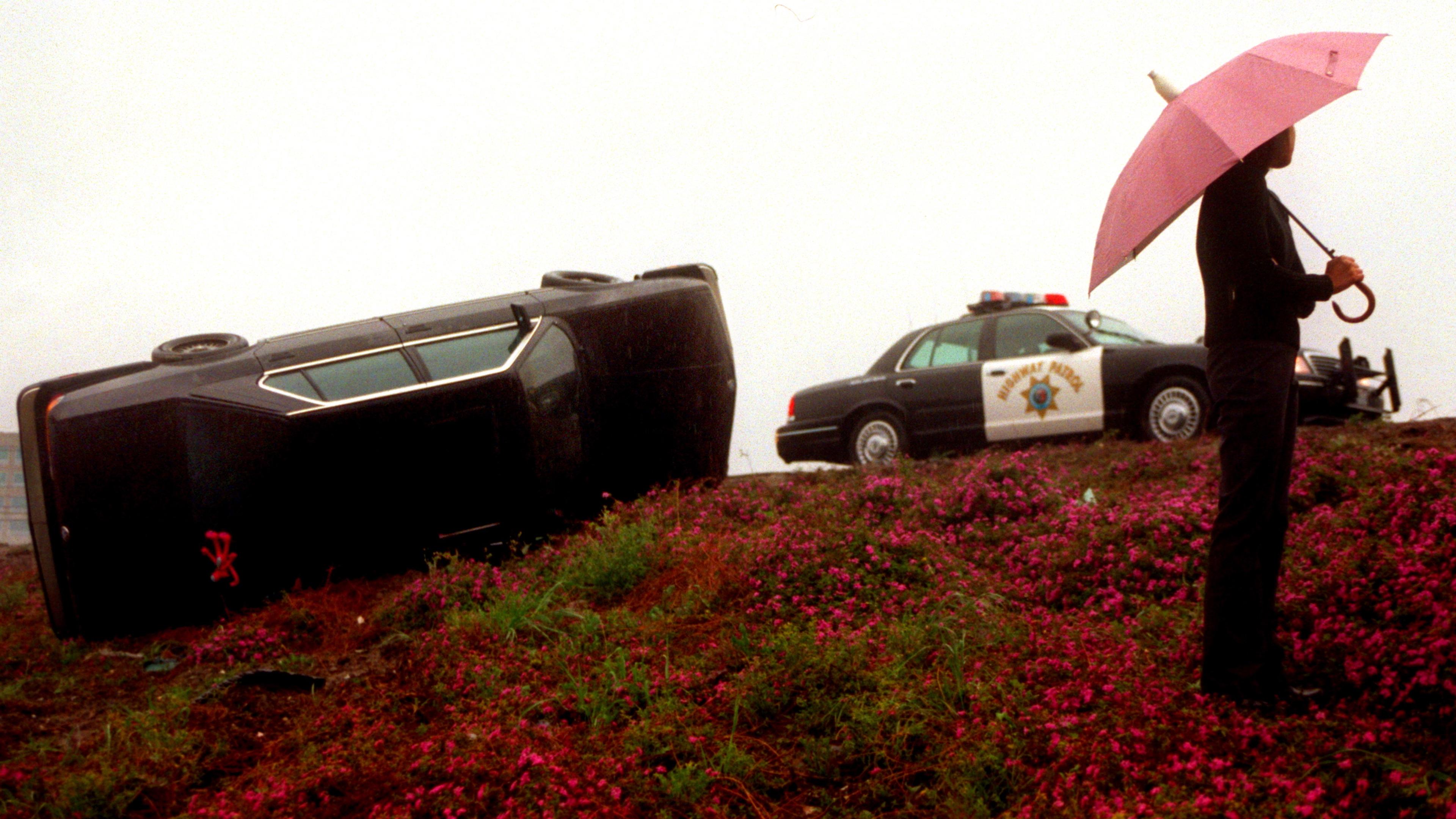 Photo of an overturned car on grass with pink flowers, a police car nearby and a person holding a pink umbrella.