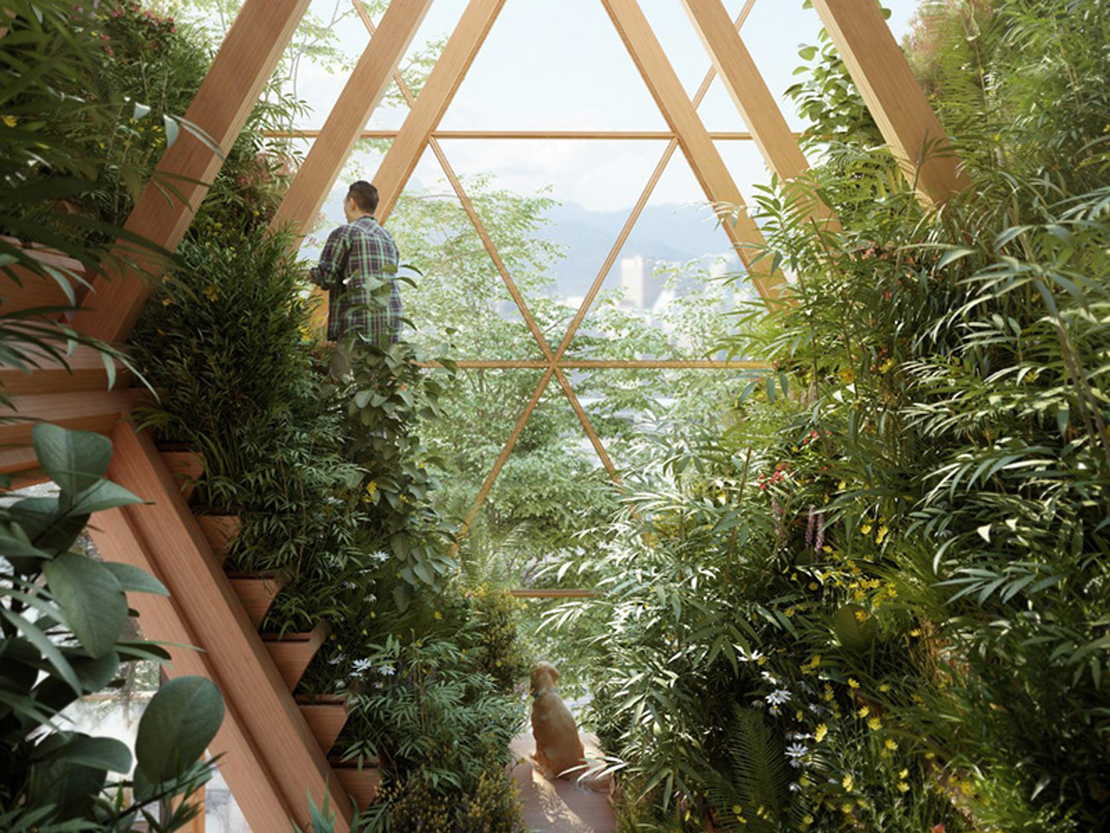 Photorealistic image of a person and a dog in a lush, indoor garden with a large diamond-shaped wooden frame window showing a cityscape and mountains.
