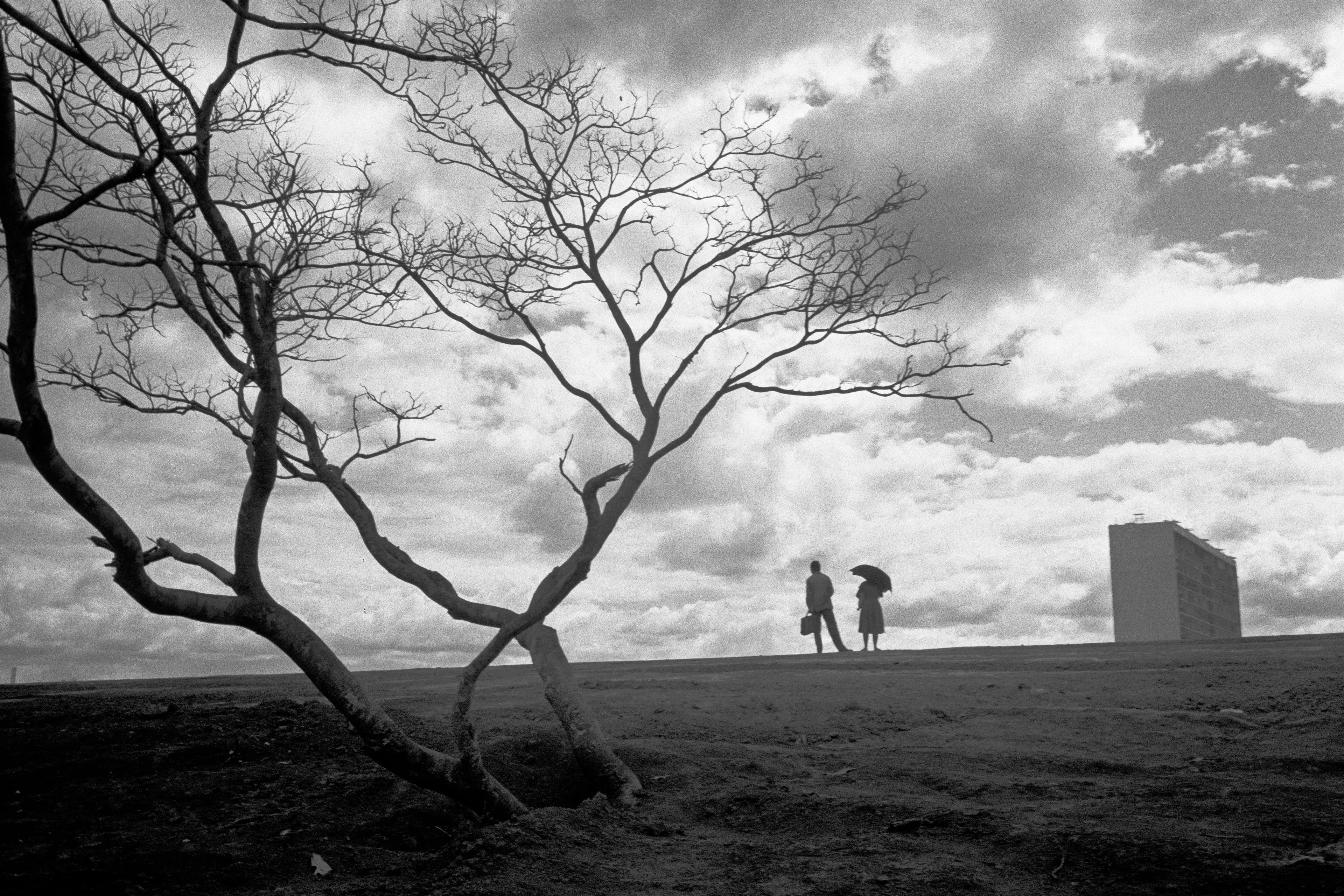 Black and white photo of a barren tree on a hill with two people and a distant building under a cloudy sky.