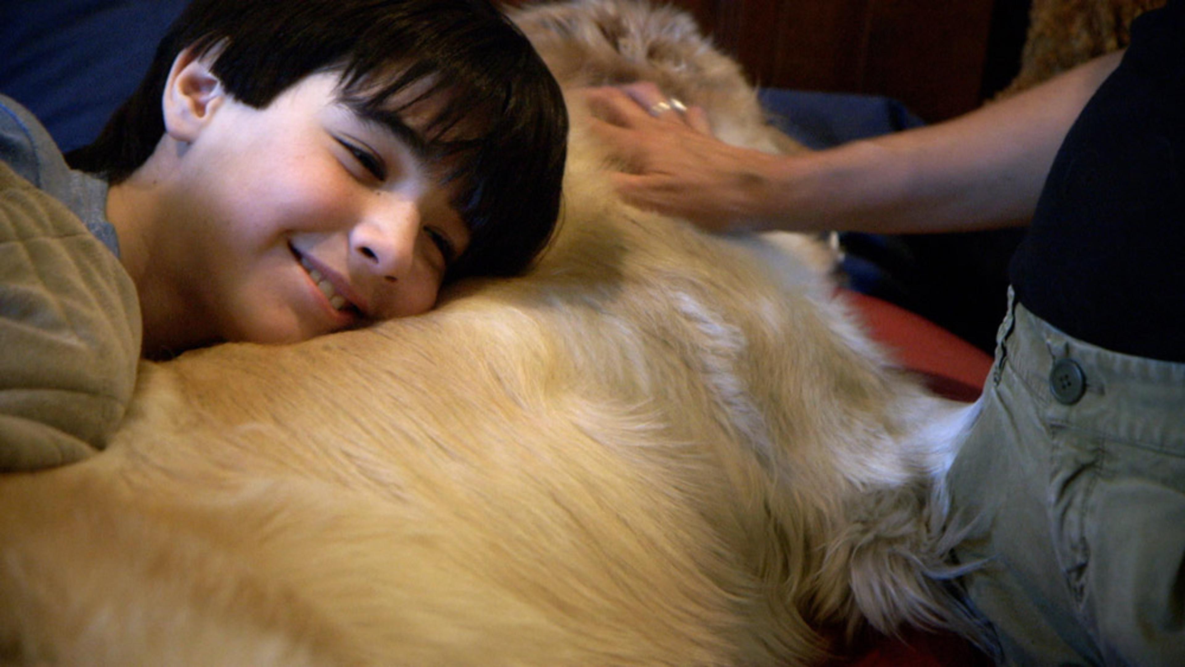A smiling child lying on a golden retriever’s back while a person pets the dog’s fur with their hand.