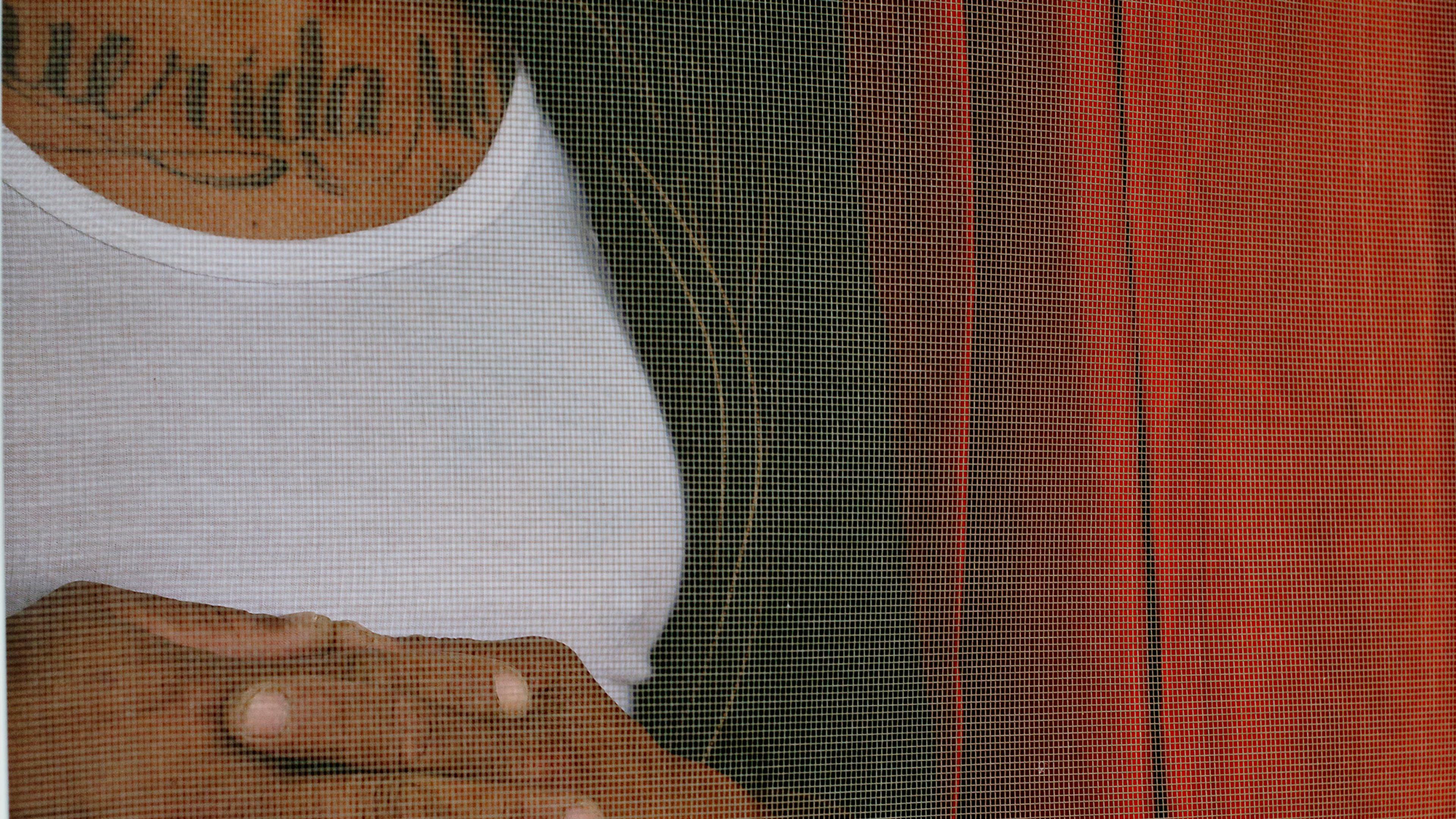 Photo of a person in a white vest and jacket with folded hands and a tattoo, viewed through a mesh screen.