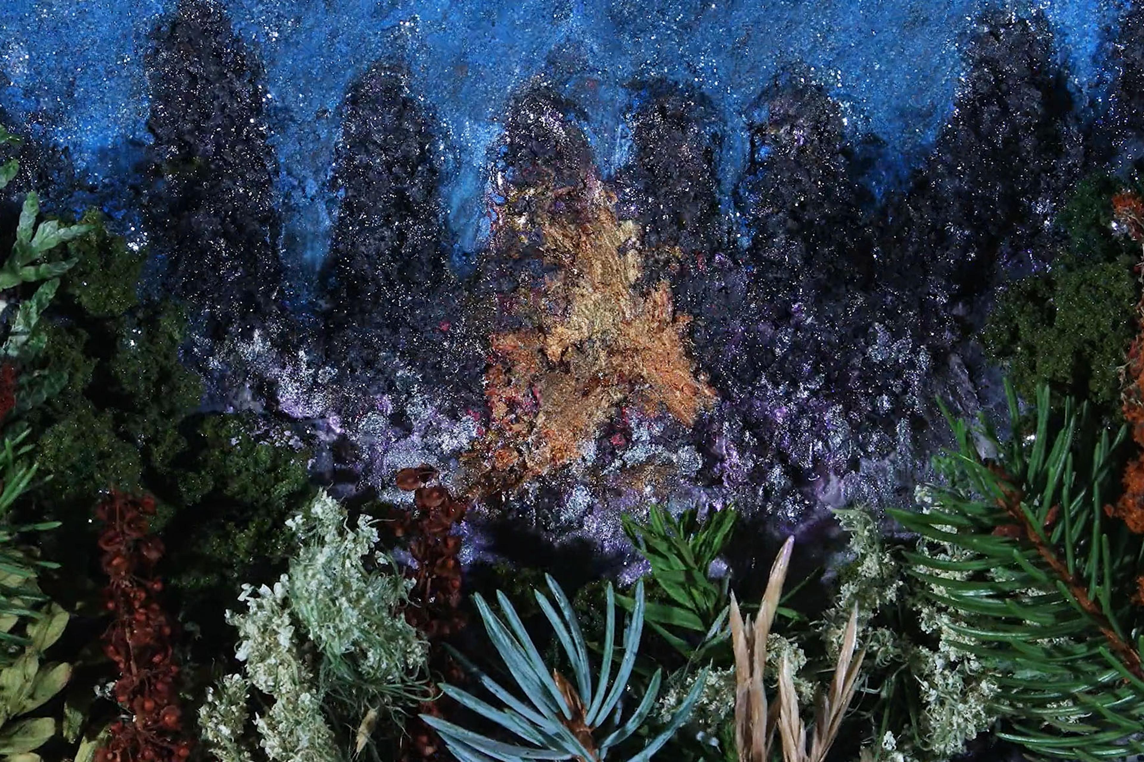 A colourful, textured painting of a forest with dark trees and vibrant foliage against a starry blue night sky.