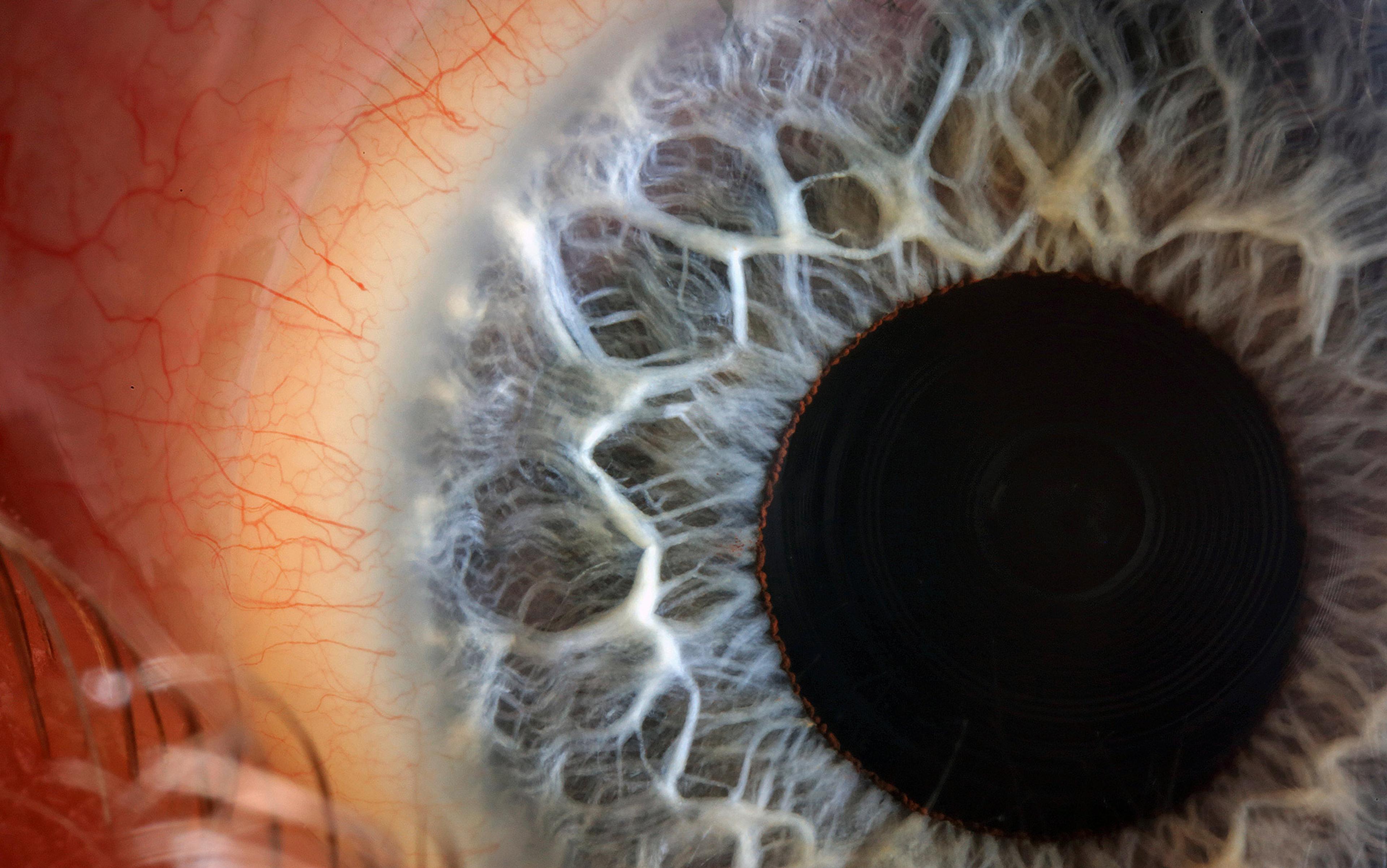 Macro photo of a human eye showing intricate details of the iris, pupil and sclera with visible blood vessels and textures.