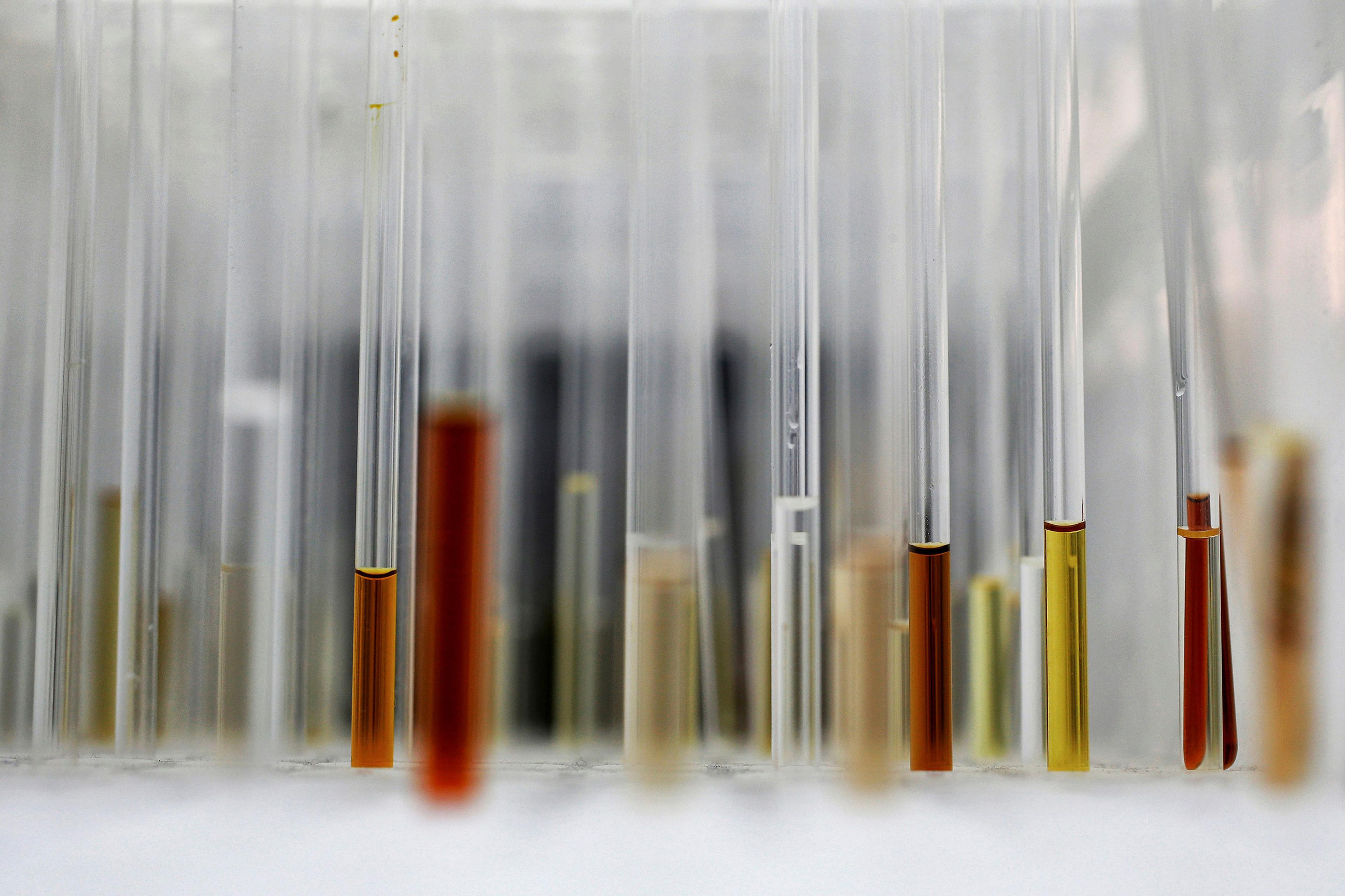 Test tubes with various coloured liquids against a blurred background in a laboratory setting.