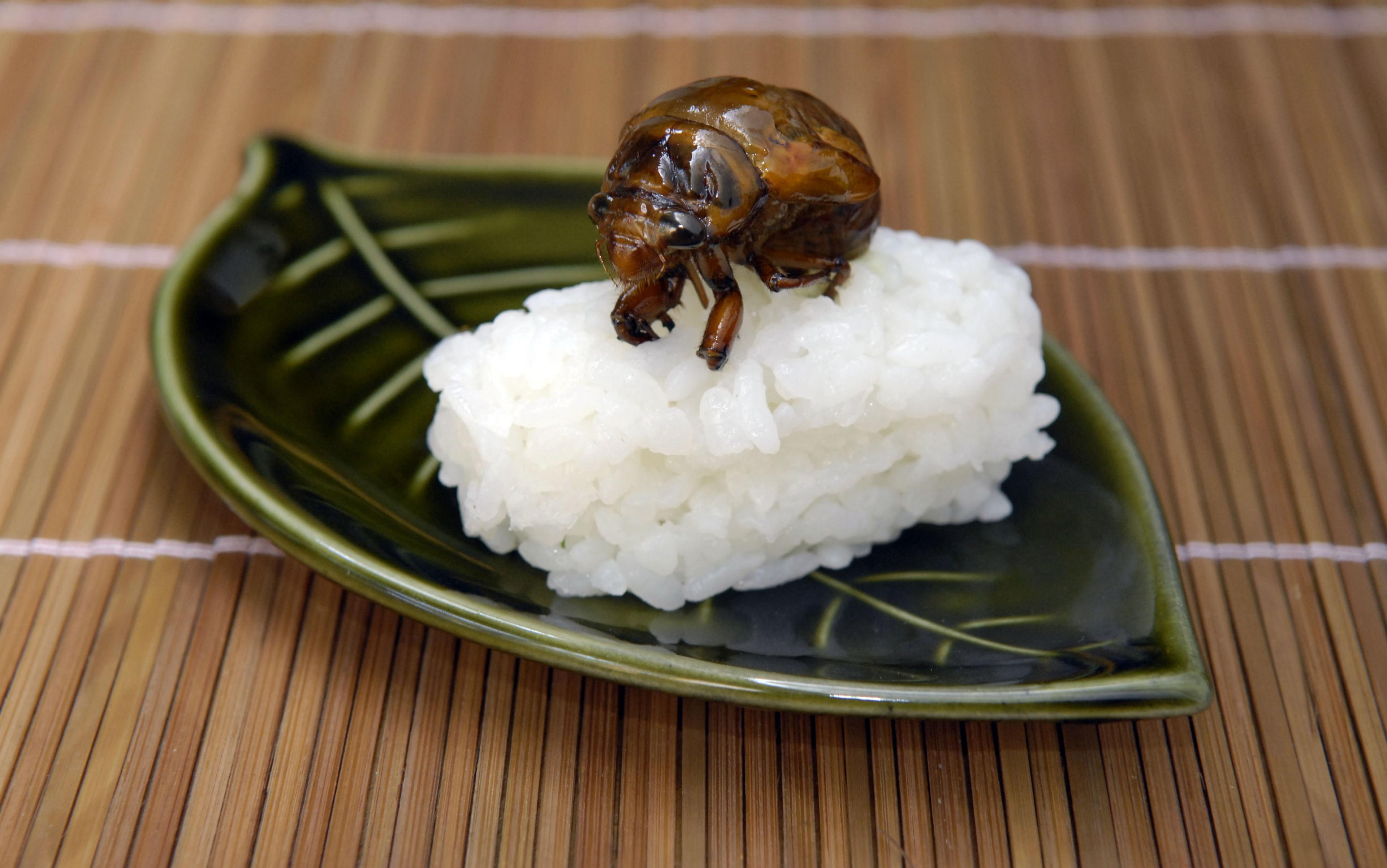 Why Everyone Preaches about Japanese Peaches