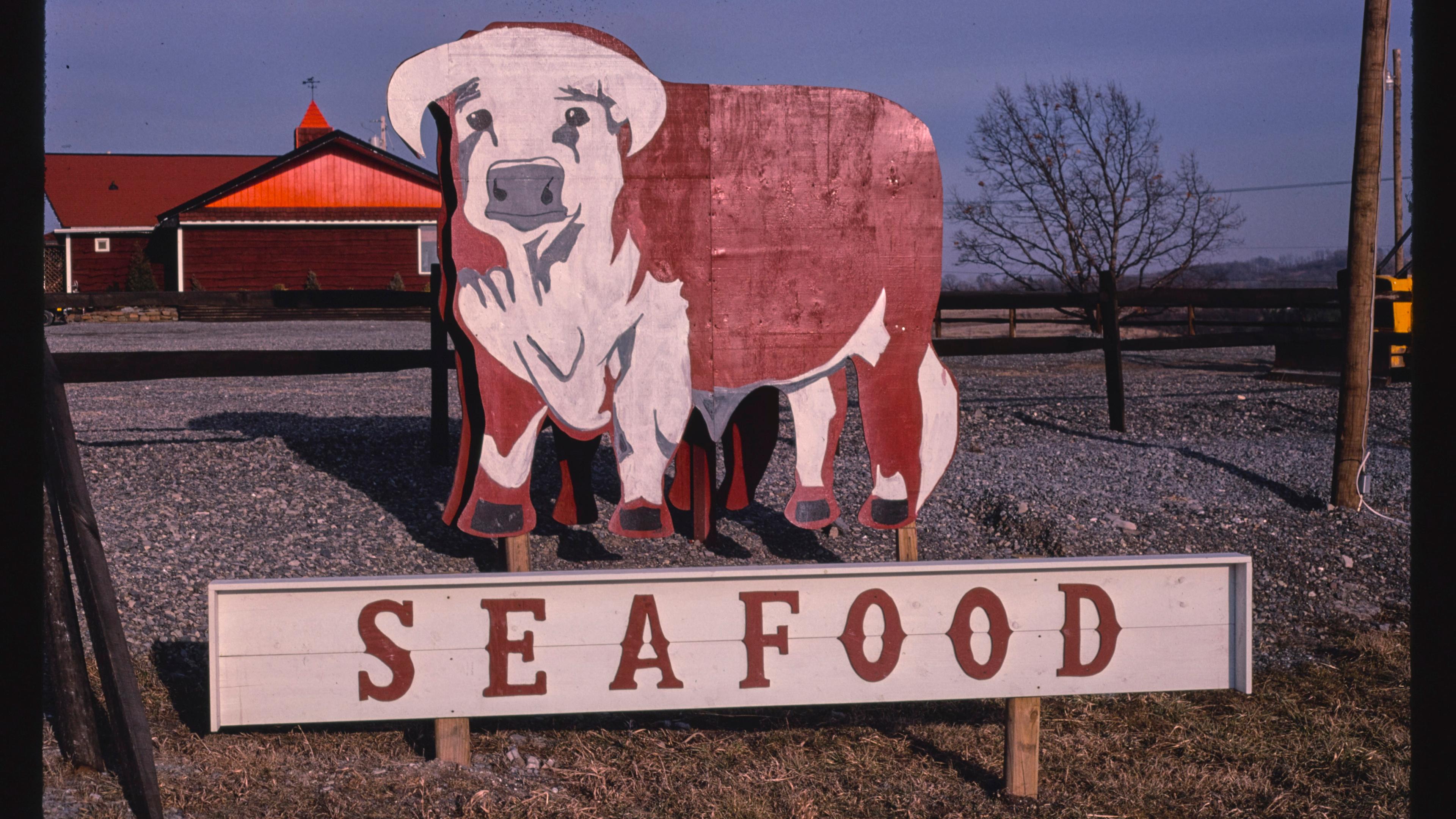 Photo of a red and white cow sign above the word “SEAFOOD” against a rural backdrop with a red barn.