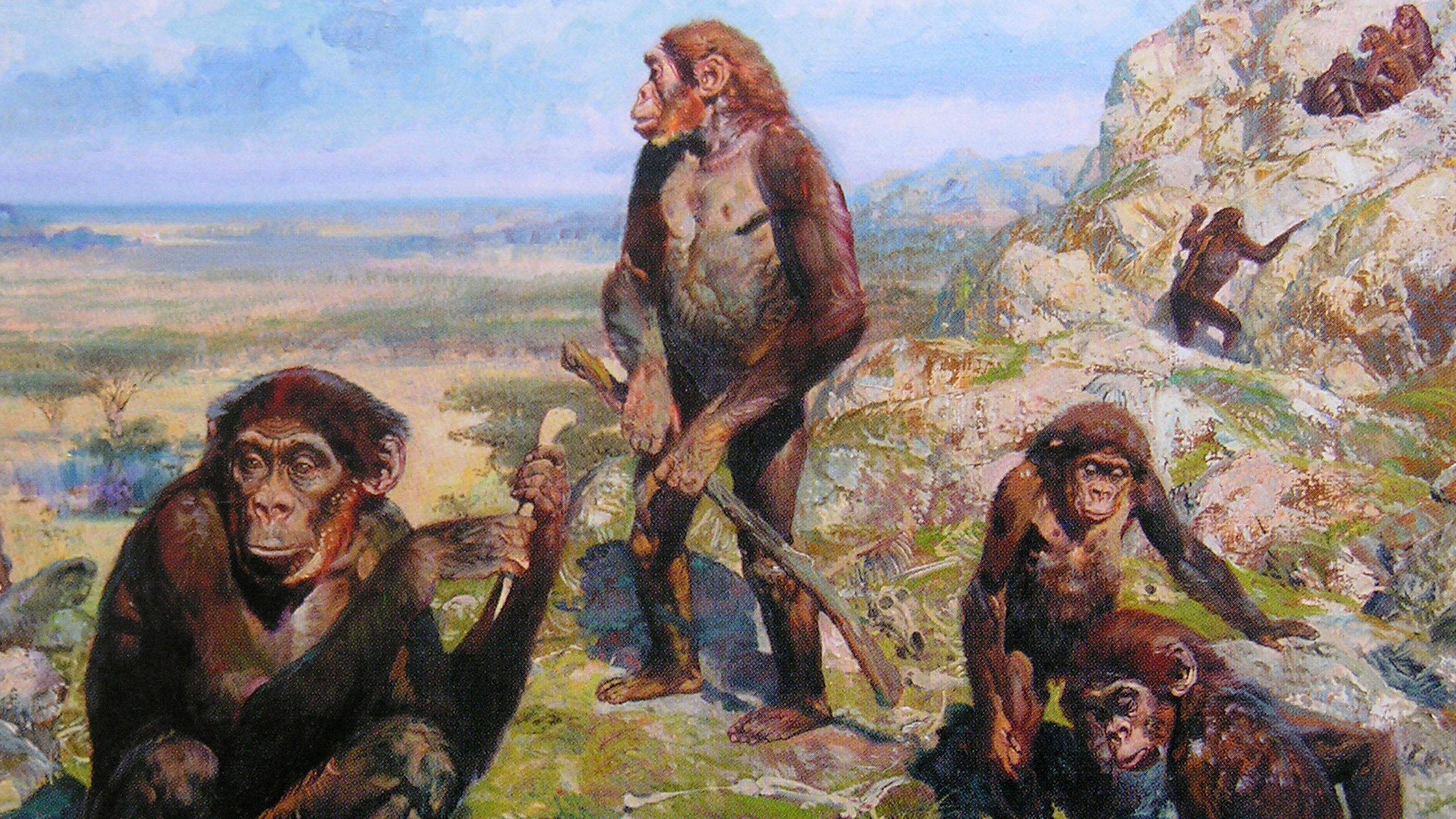 Painting of early hominids using tools in a rocky landscape with scattered animal skulls and a distant horizon.
