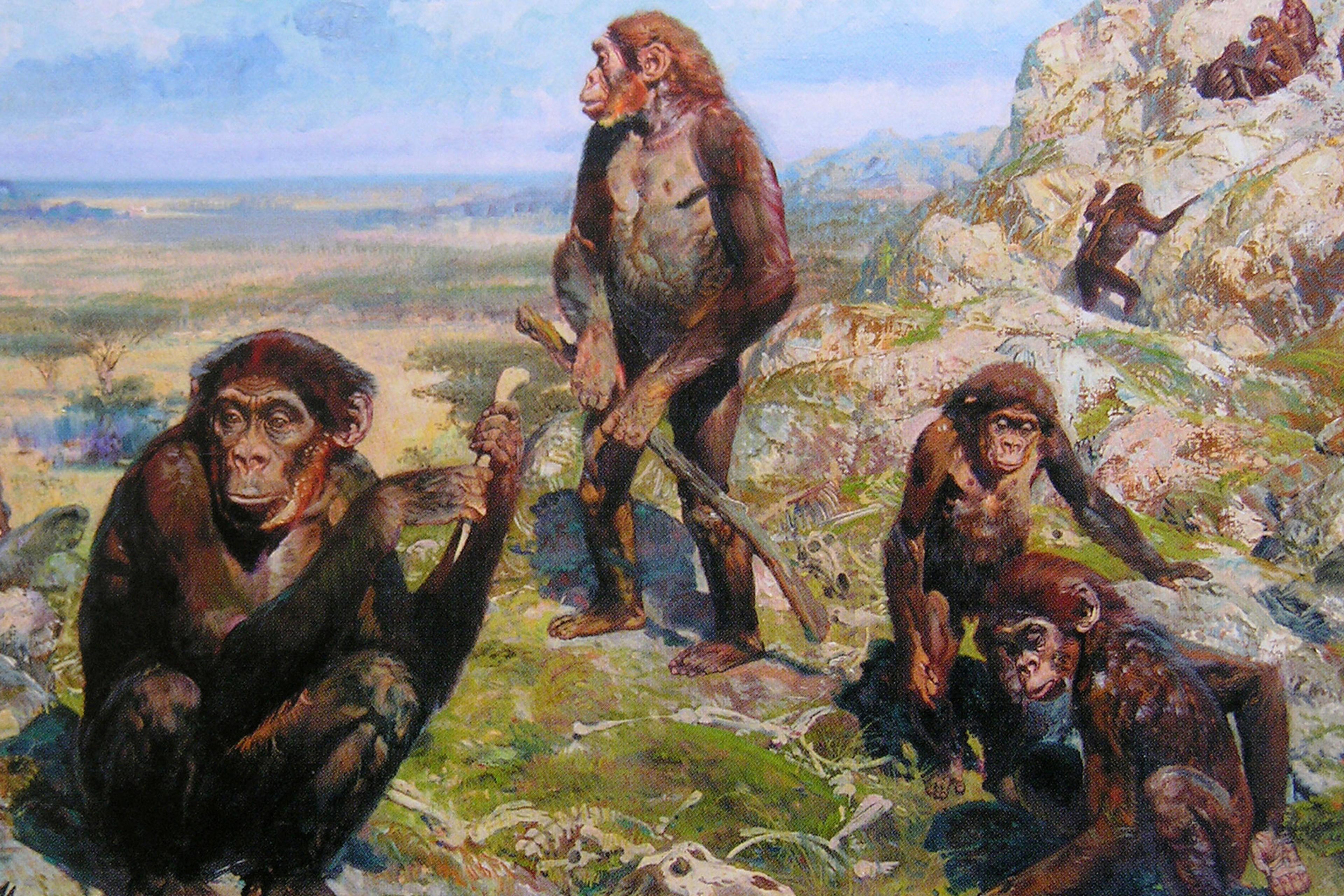Painting of early hominids using tools in a rocky landscape with scattered animal skulls and a distant horizon.