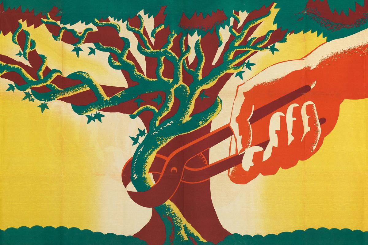 De sterilisatiezoekers