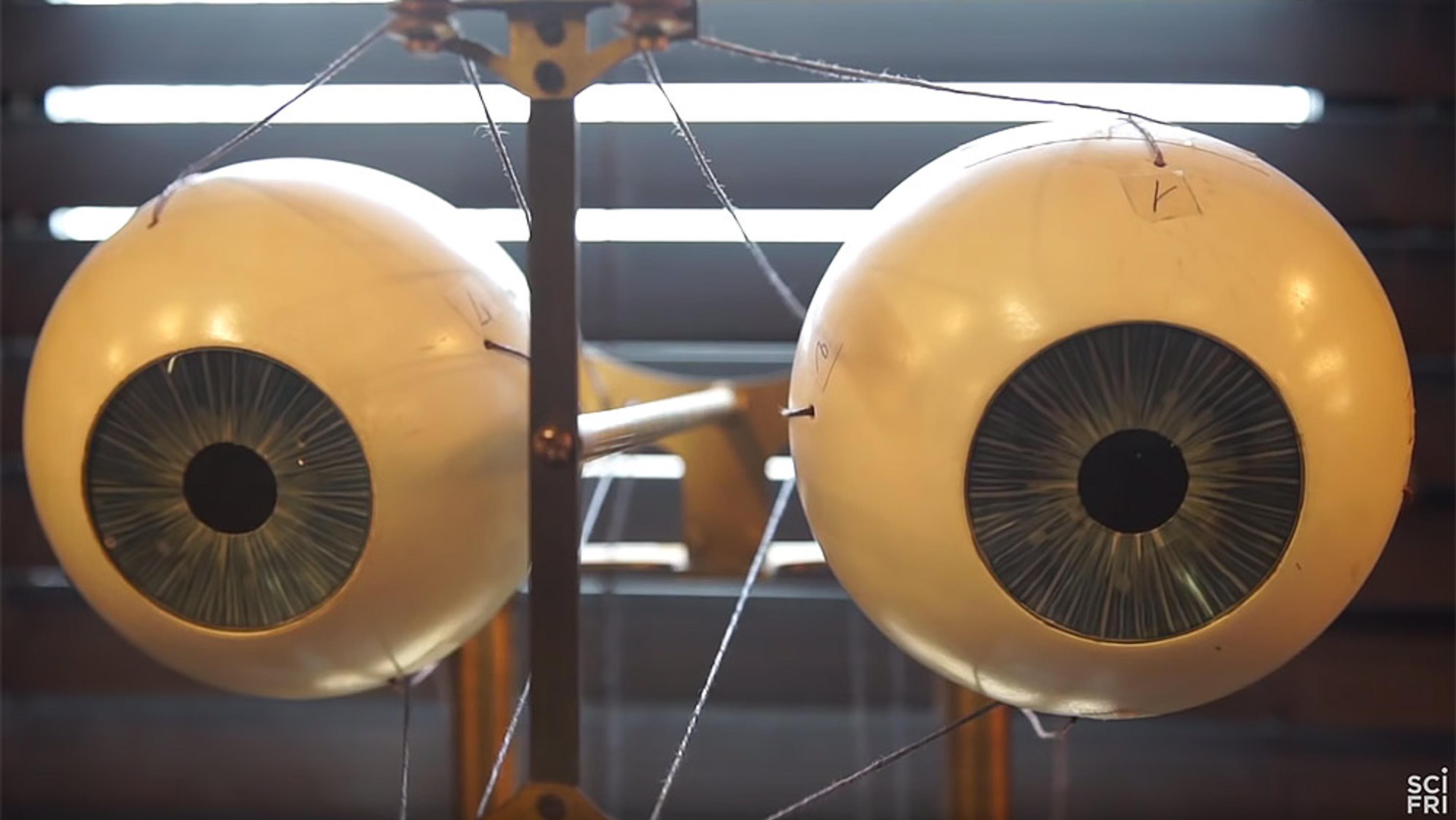 Photo of a suspended model with two spherical eyeballs featuring blue irises and pupils, in a dimly lit room.