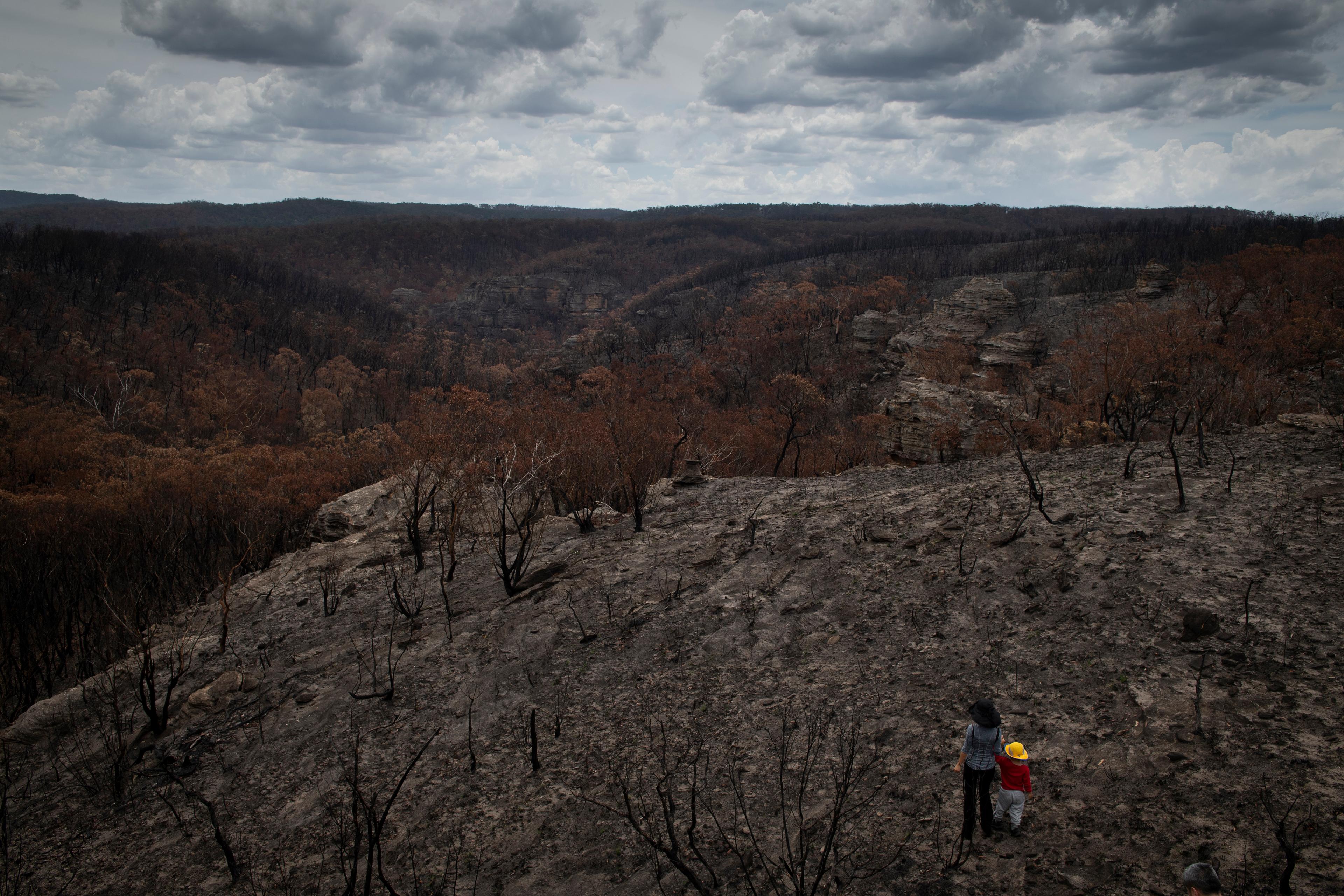 Photo of a burnt forest landscape under cloudy skies with a person and child in colourful clothing in the foreground.