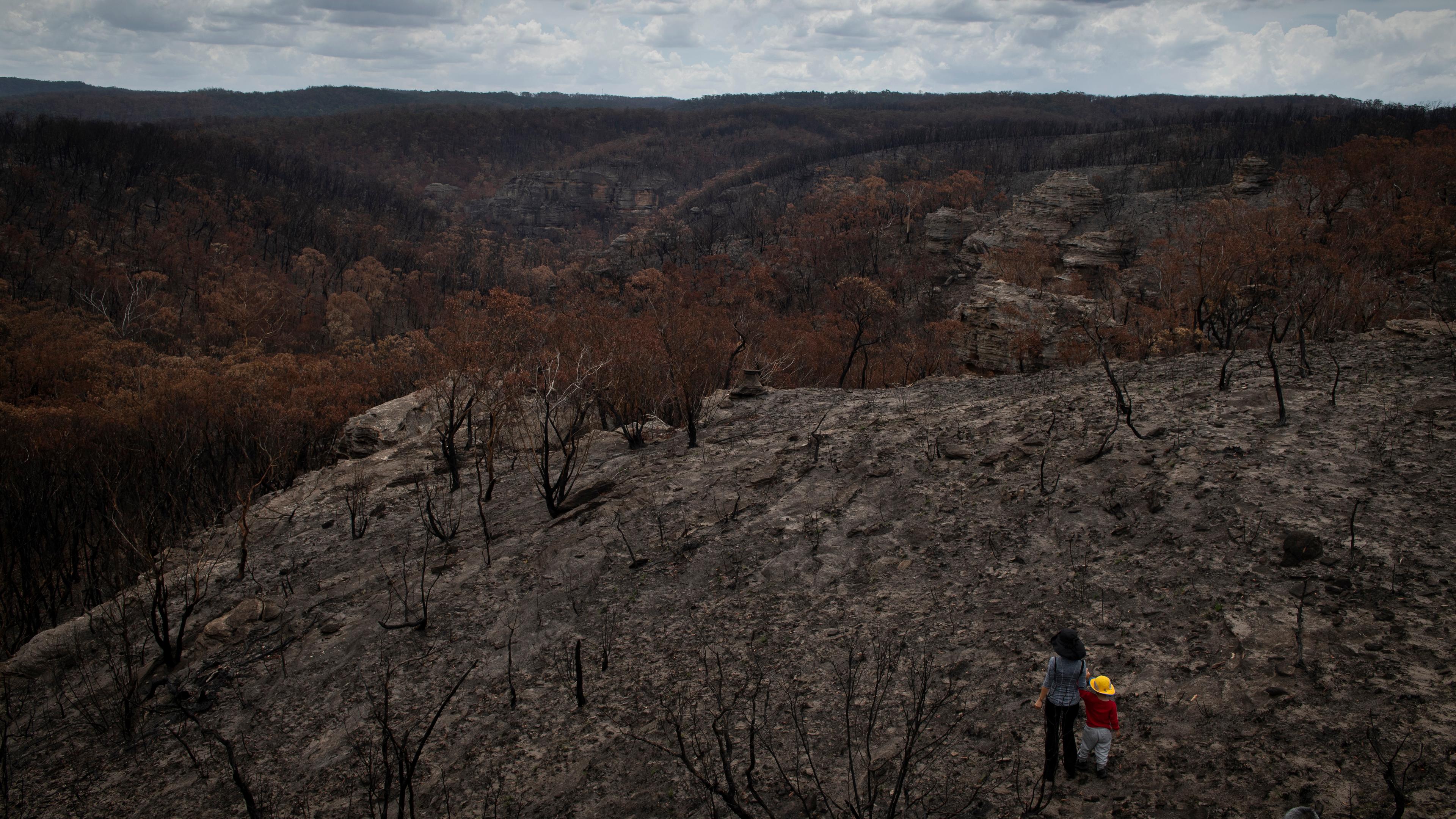Photo of a burnt forest landscape under cloudy skies with a person and child in colourful clothing in the foreground.