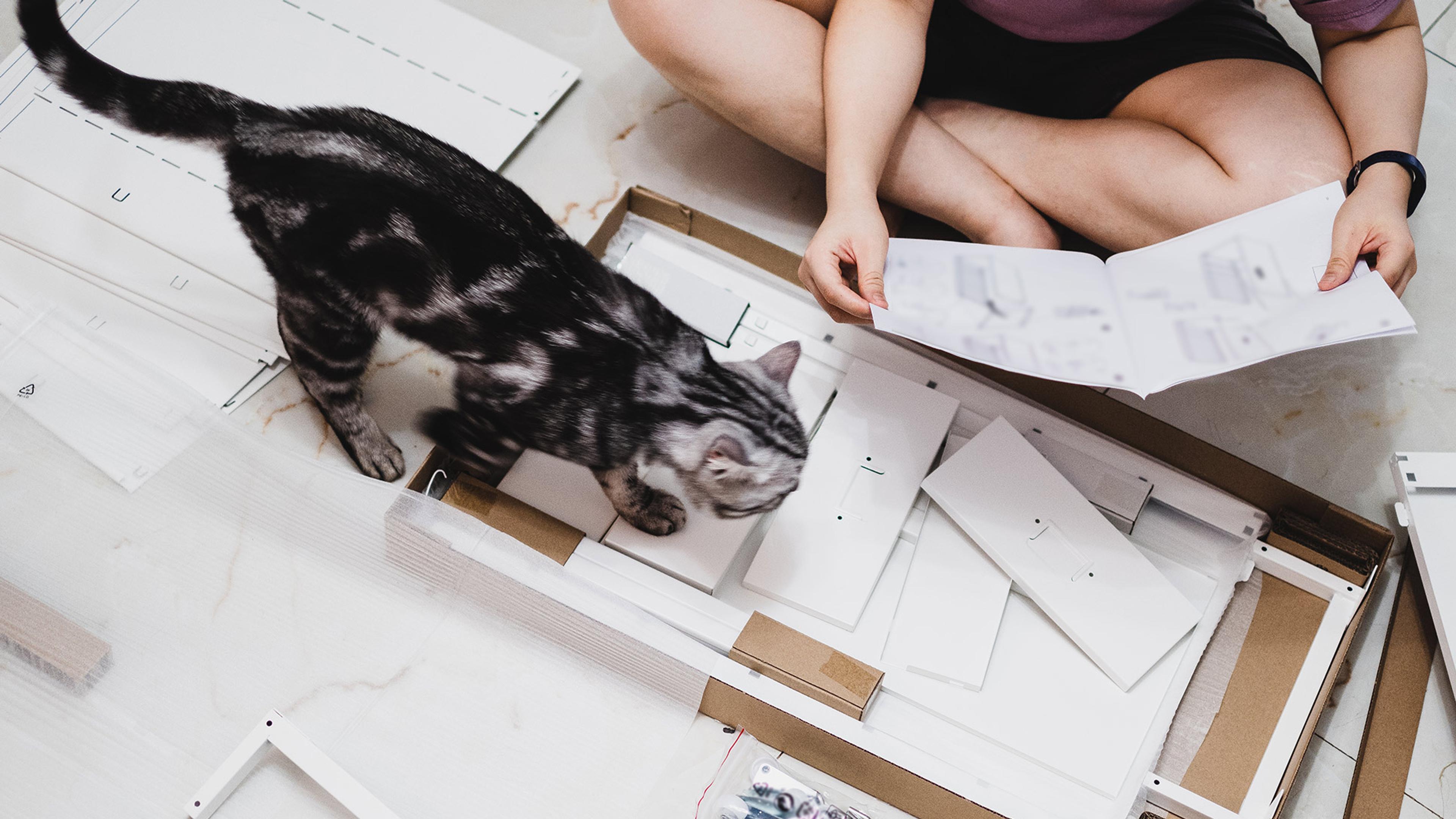 Person sitting cross-legged on the floor with instructions book to assemble flat-pack furniture with a cat getting in the way.