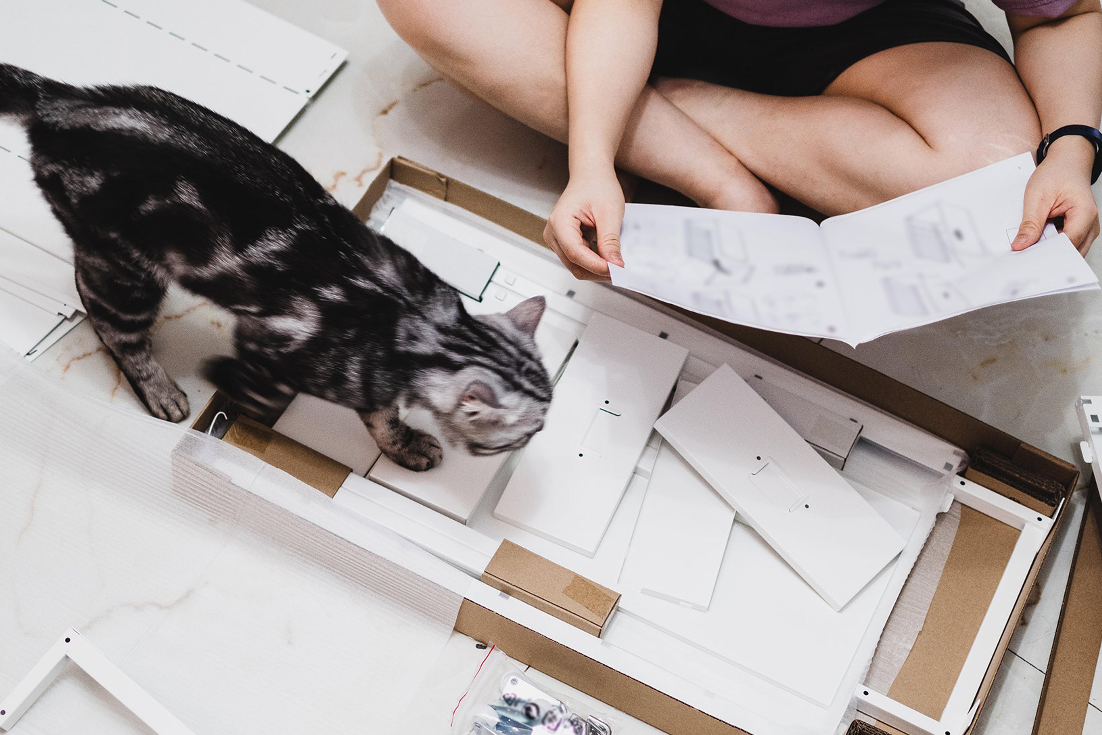 Person sitting cross-legged on the floor with instructions book to assemble flat-pack furniture with a cat getting in the way.