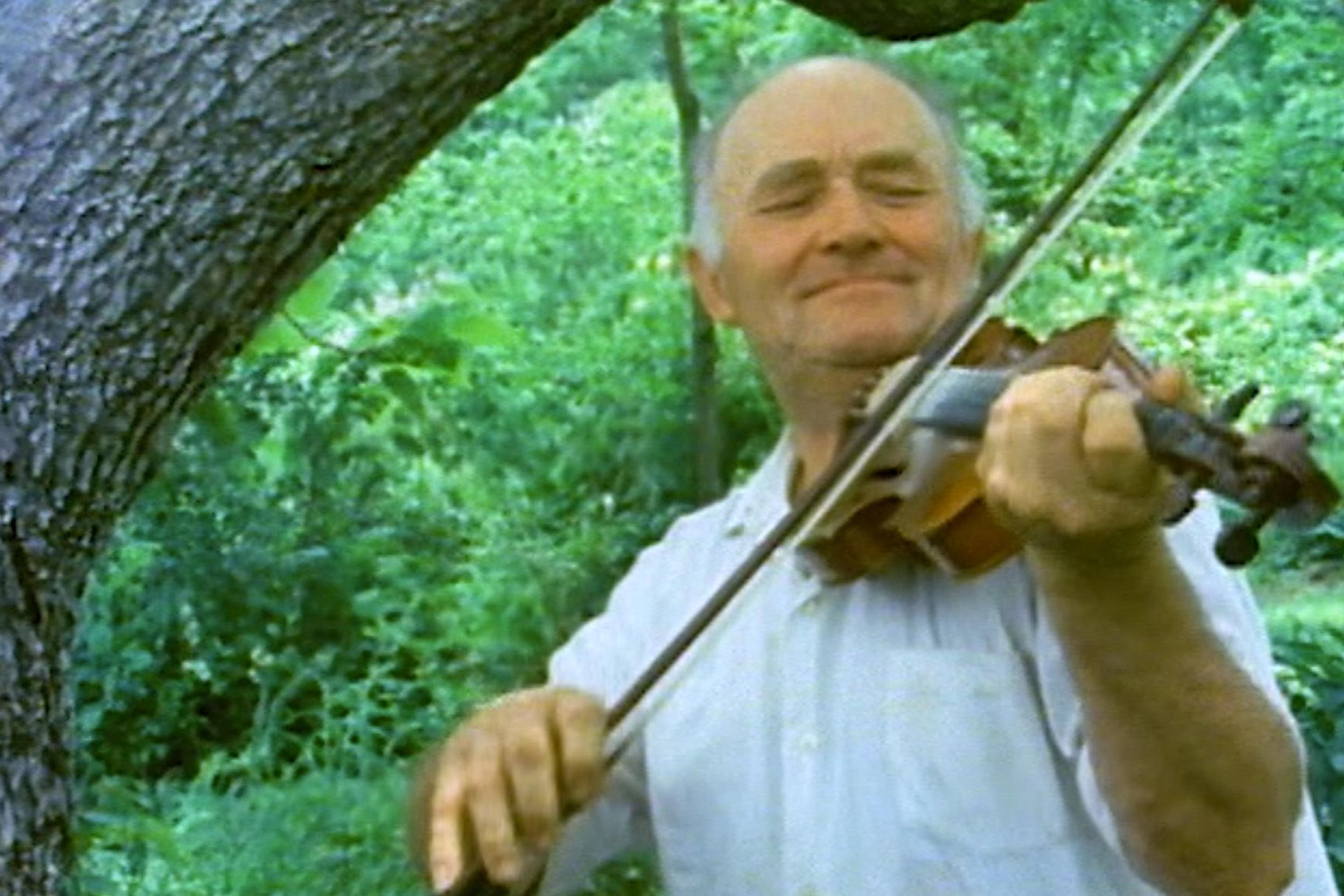 An elderly man, smiling with closed eyes, playing a violin outdoors in a lush, green forest setting.