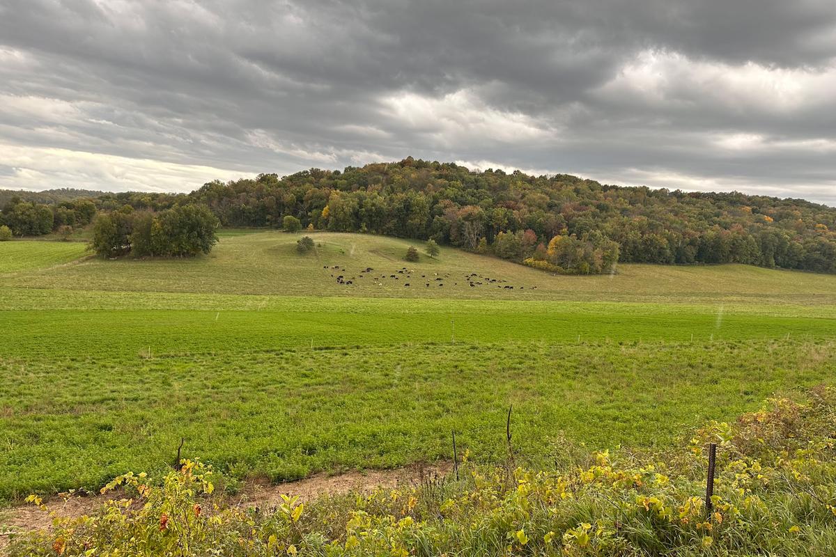 Where a land ethic blooms