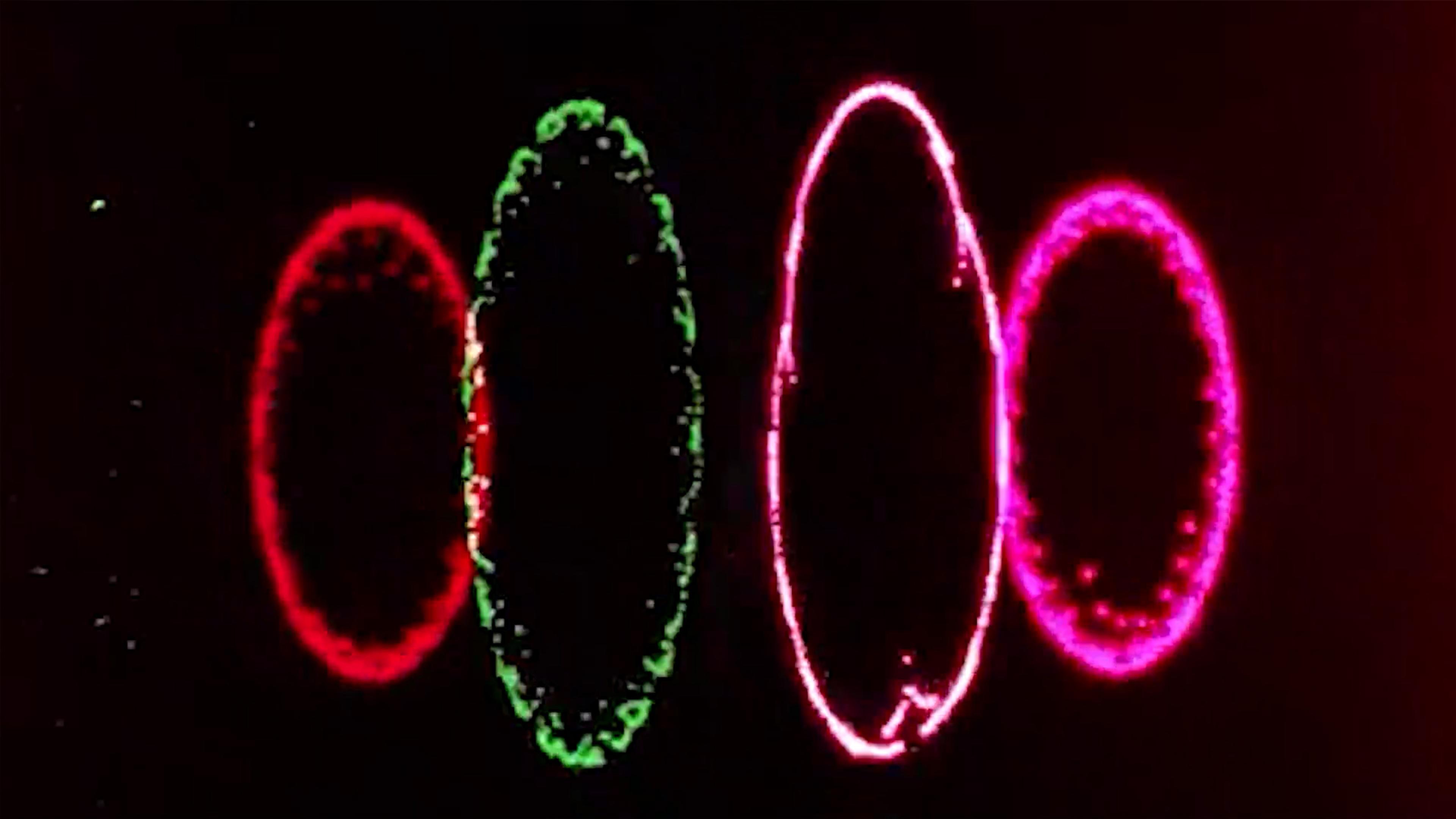 Abstract art with neon-coloured ovals on a black background, featuring red, green and pink lights in a digital photo.