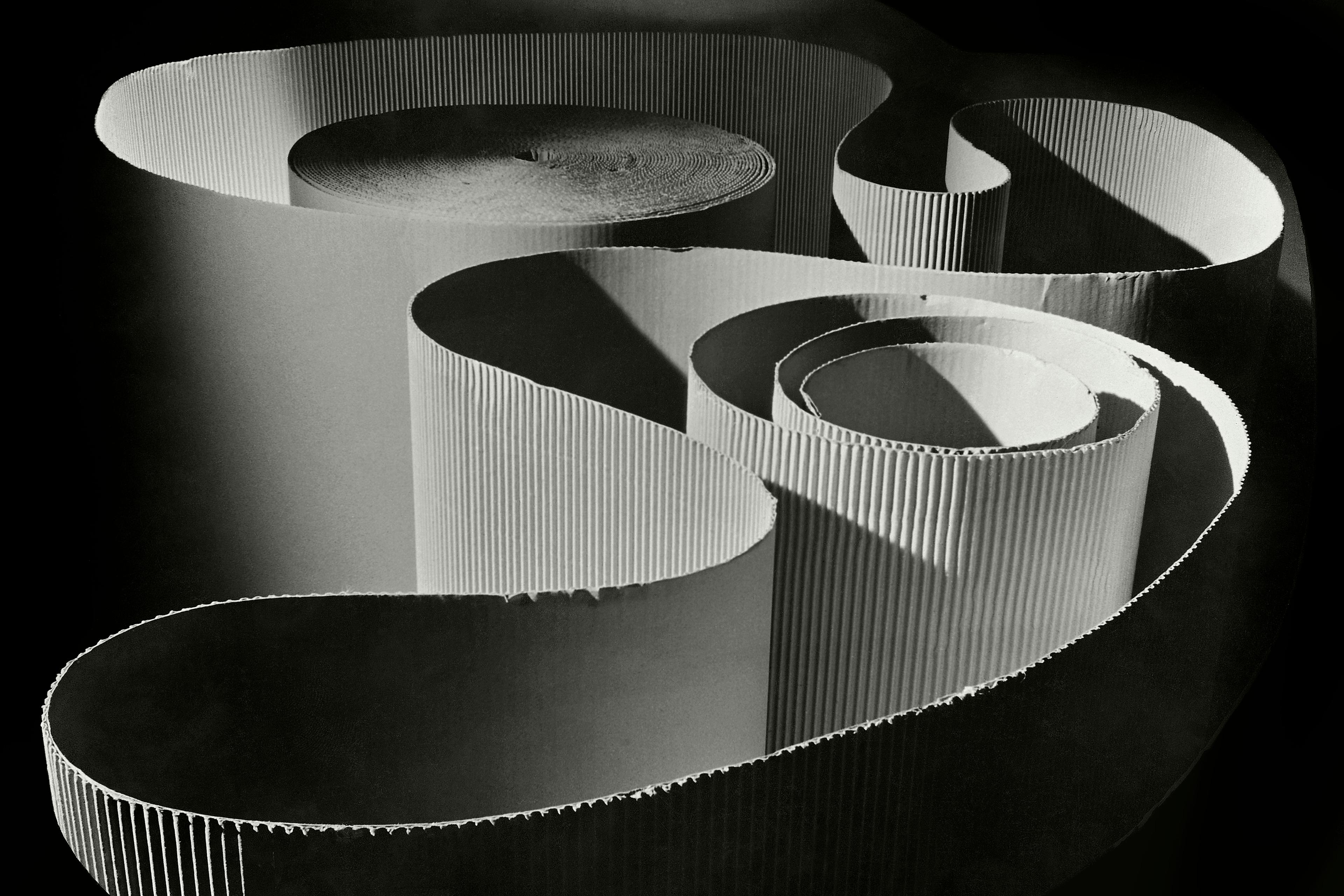 Photo of rolled corrugated paper forming spirals and curves, with light creating shadows on its textured surface.