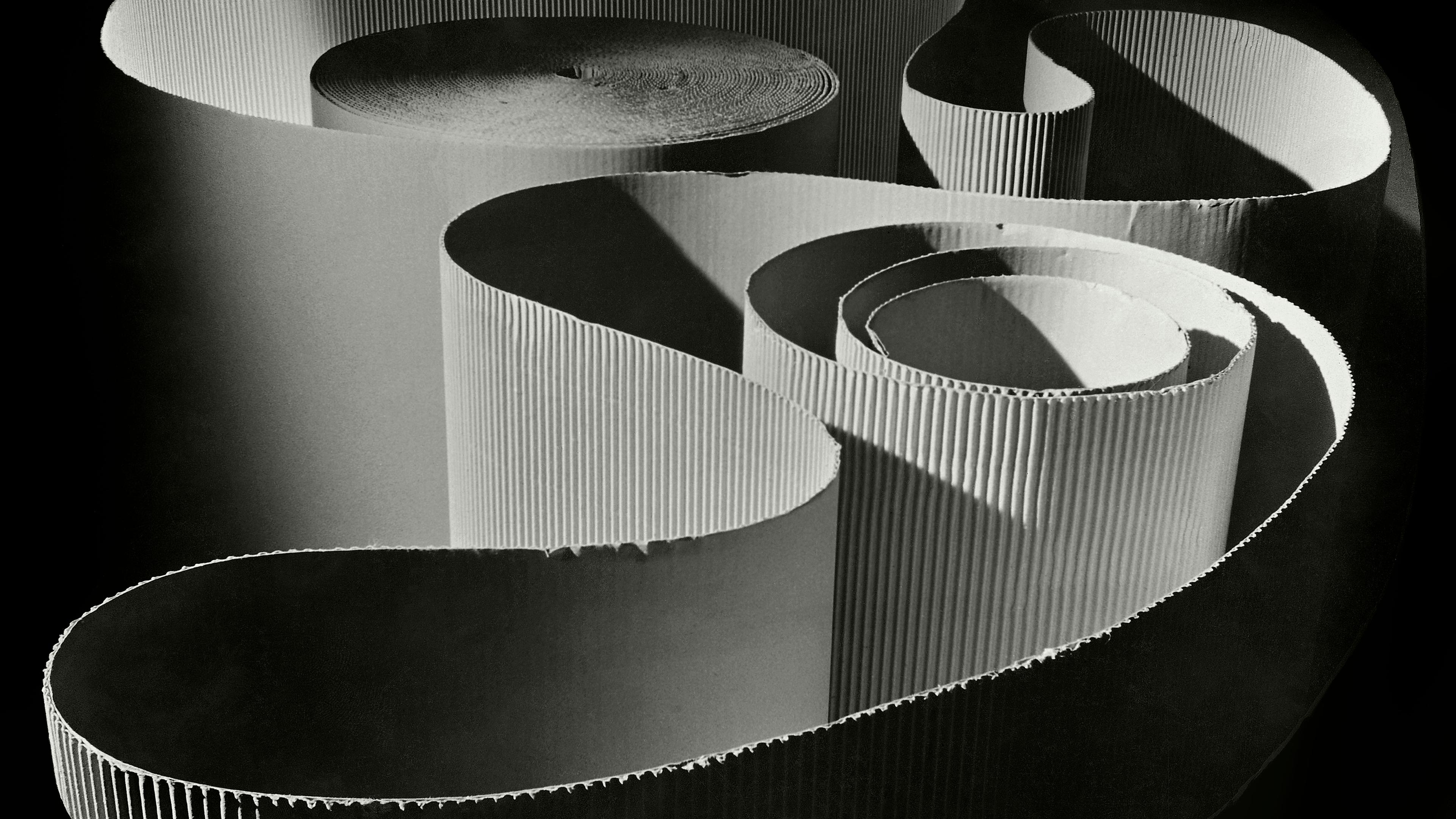Photo of rolled corrugated paper forming spirals and curves, with light creating shadows on its textured surface.