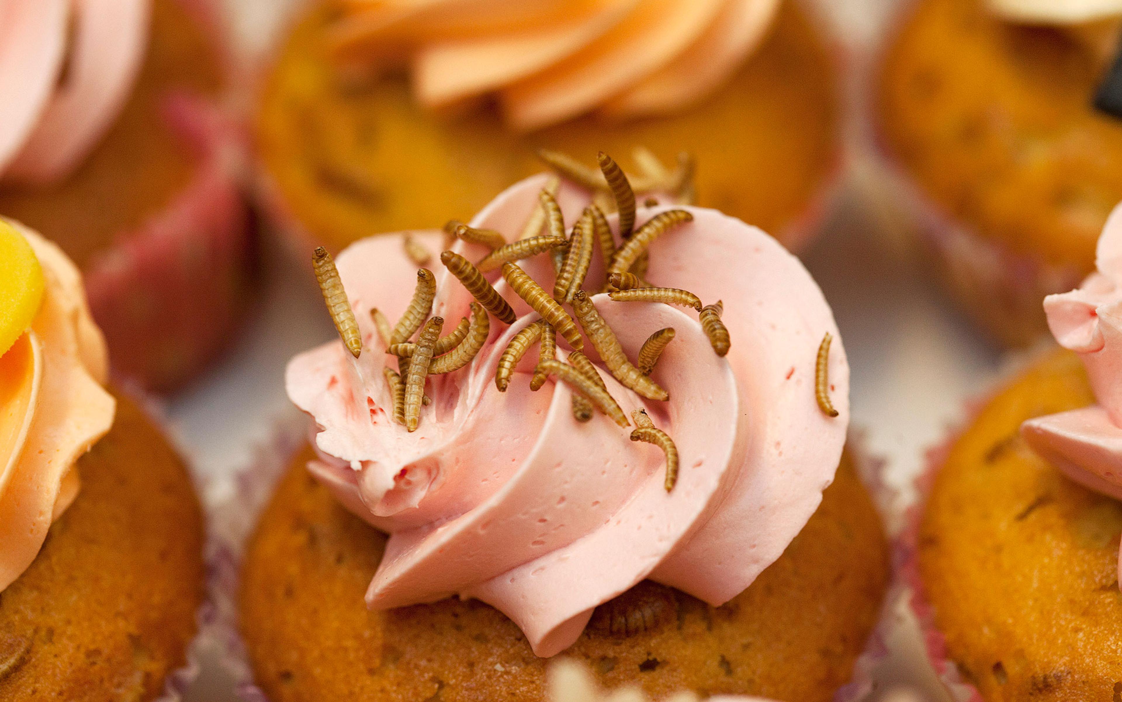 A cupcake with pink icing topped with mealworms, surrounded by other cupcakes.