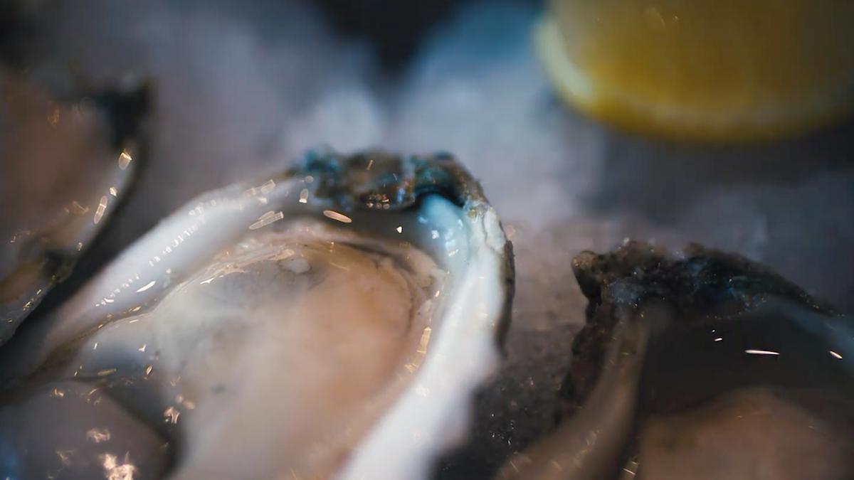 Oyster cultivation protects Louisiana’s fragile coastline