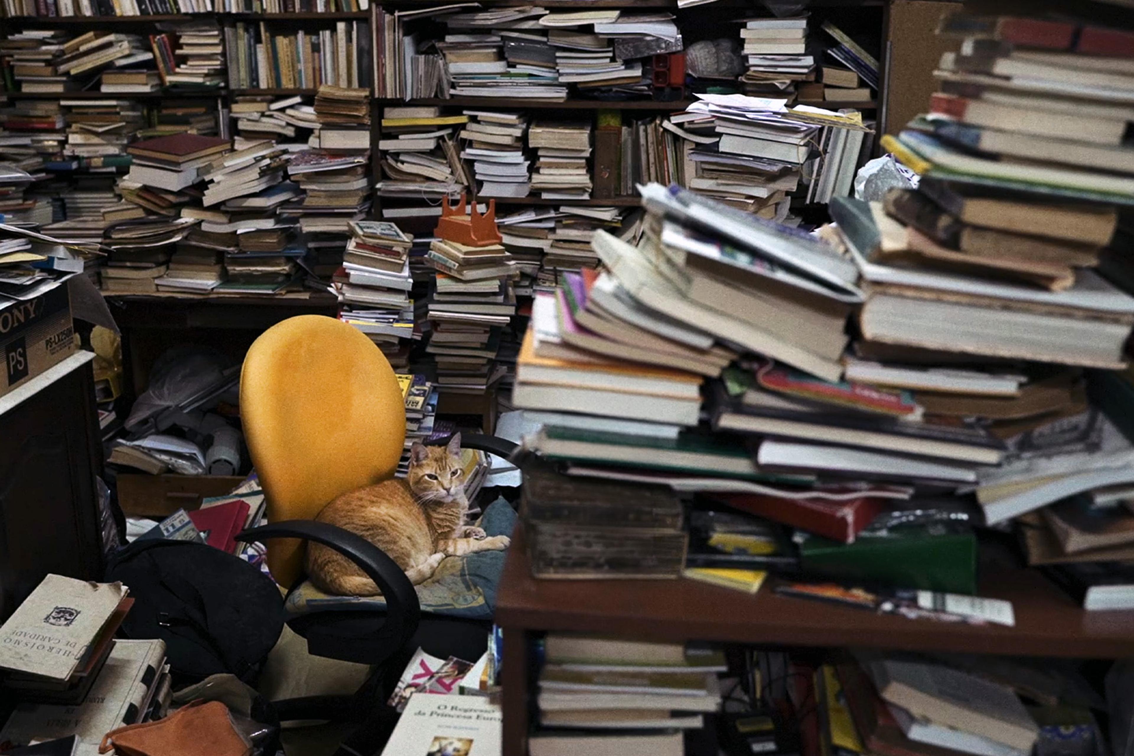 A cluttered room filled with stacks of books and papers, with a ginger cat lounging on a yellow chair in the centre.