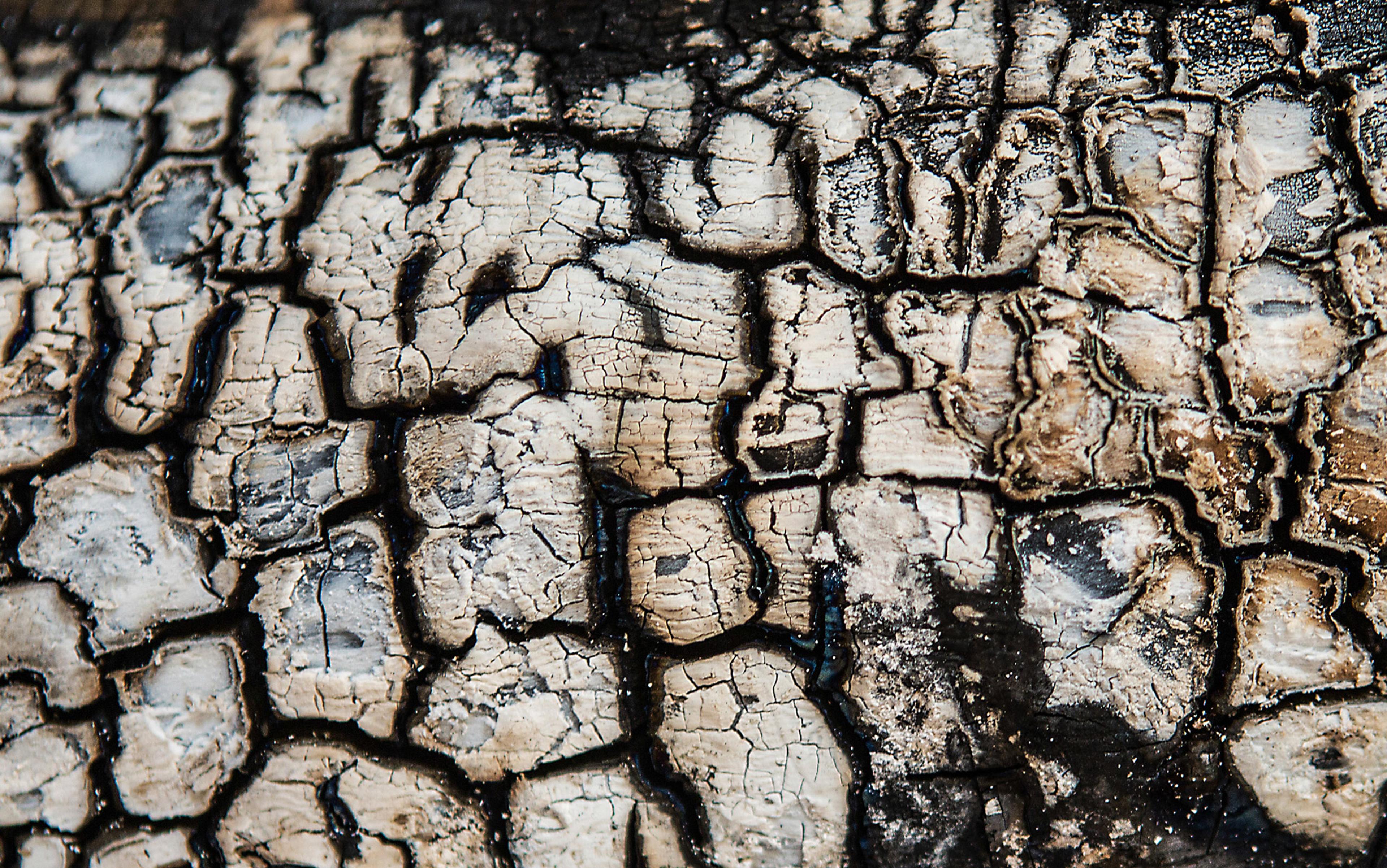 Close-up photo of charred, cracked wood with a textured pattern of burnt and weathered surfaces.
