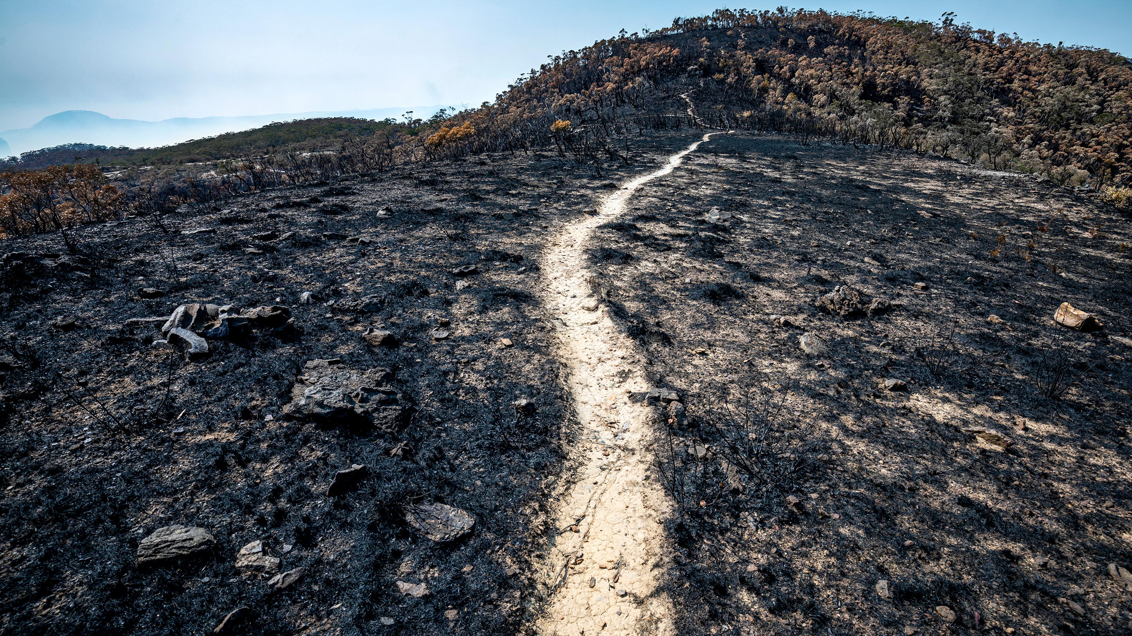Photo of a charred landscape with a narrow path leading through burnt terrain towards a distant hill under a clear blue sky.