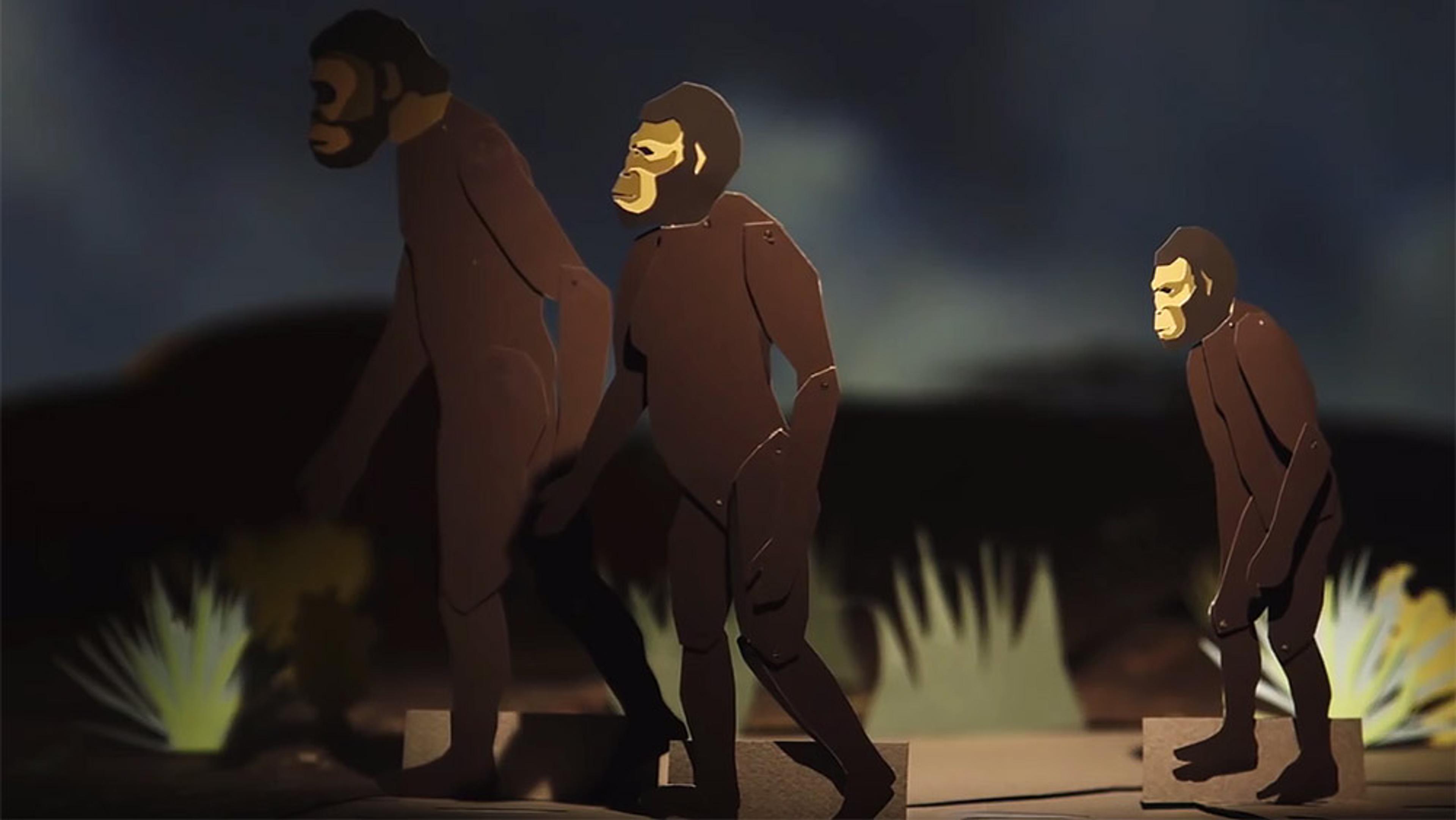 Illustration of three evolving hominids walking from right to left in a dark outdoor setting with plants in the background.