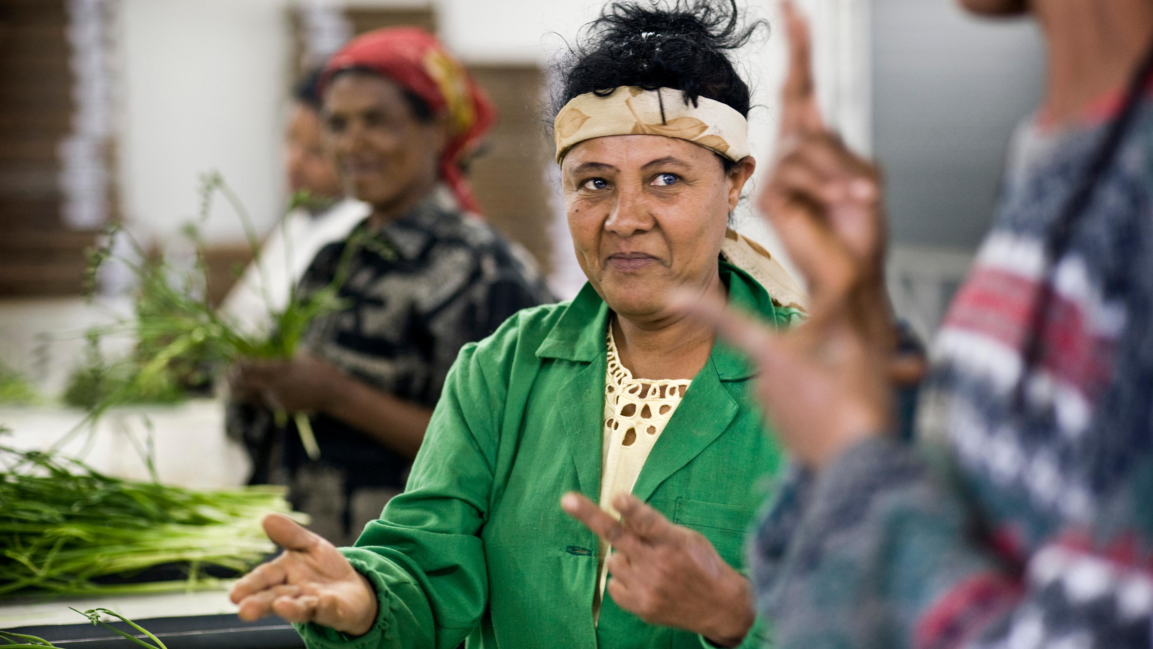 Photo of women working with plants indoors, foreground woman in green engages in sign language with another person.