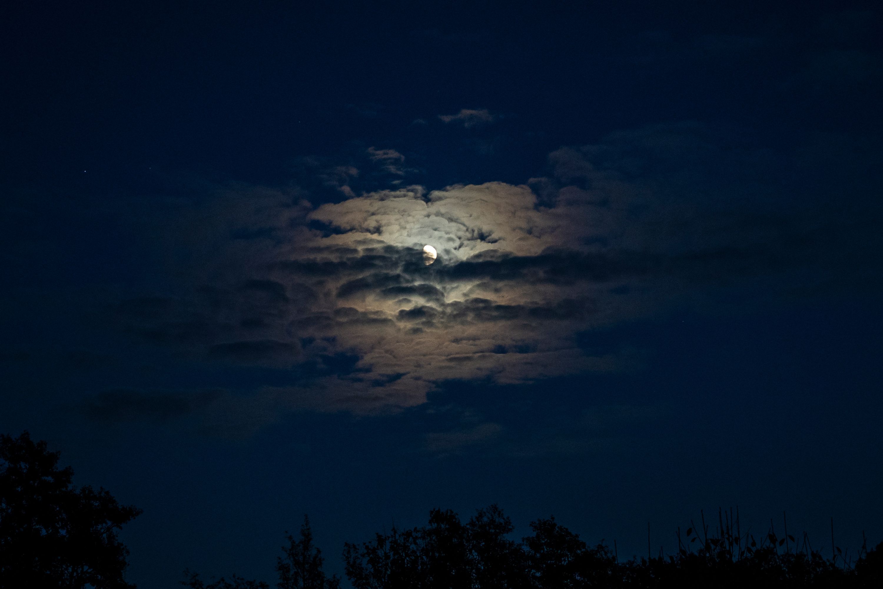 A full moon shining through clouds in a dark night sky above silhouetted treetops.