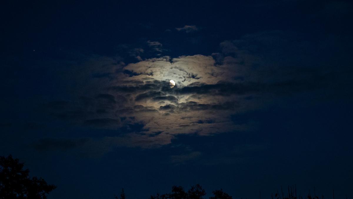 A full moon shining through clouds in a dark night sky above silhouetted treetops.