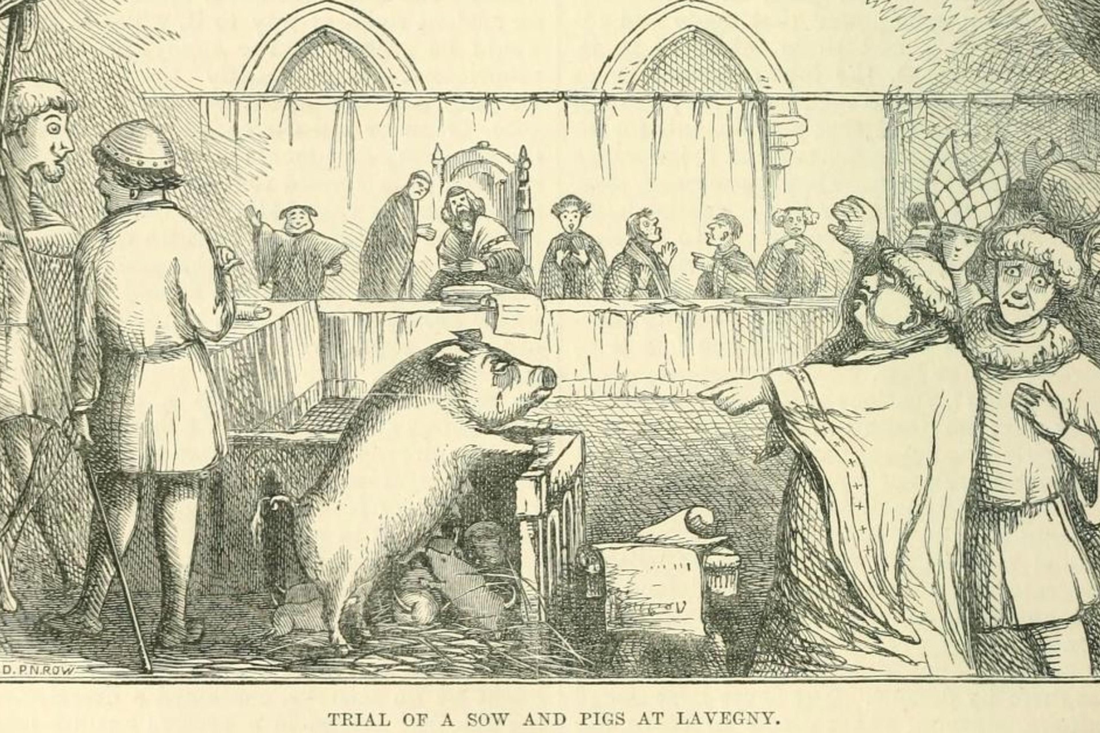Illustration of a medieval trial with a sow and piglets in court, featuring people in robes and a judge in the background.