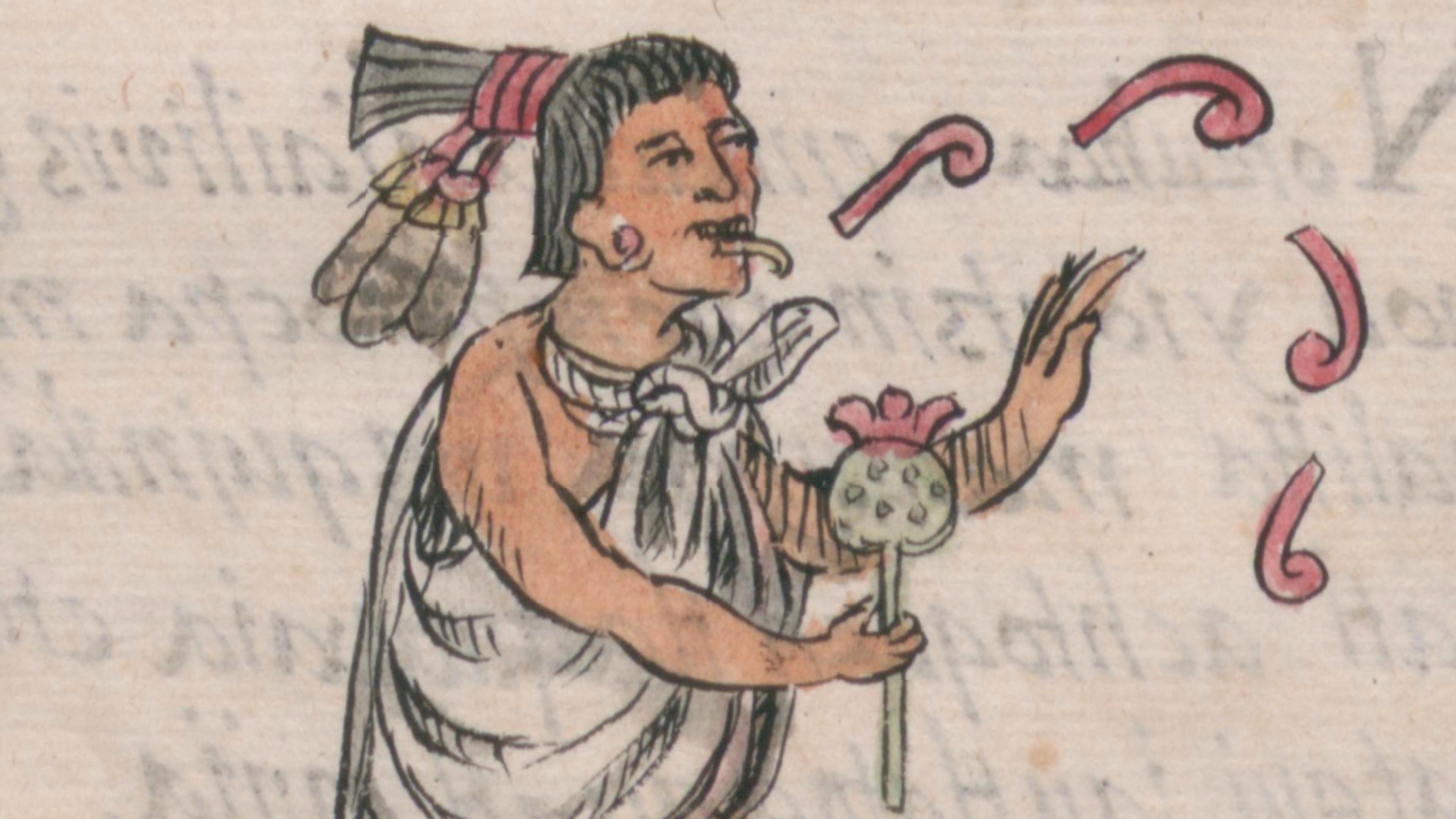 Watercolour illustration of an Aztec person walking, holding a flowered staff, speech glyphs surrounding their head.