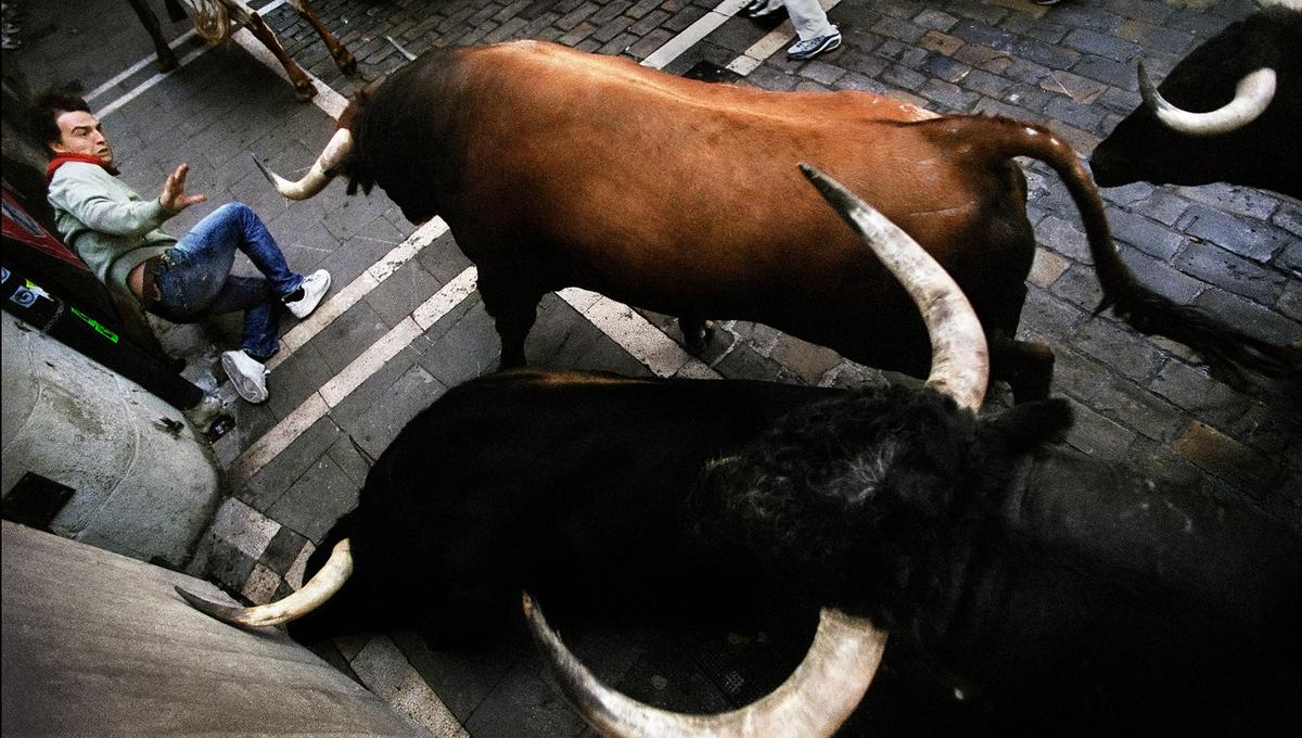 Man in jeans and trainers falls backwards as he avoids three charging bulls on a cobblestone street. Top-down perspective captures the chaos of the scene.