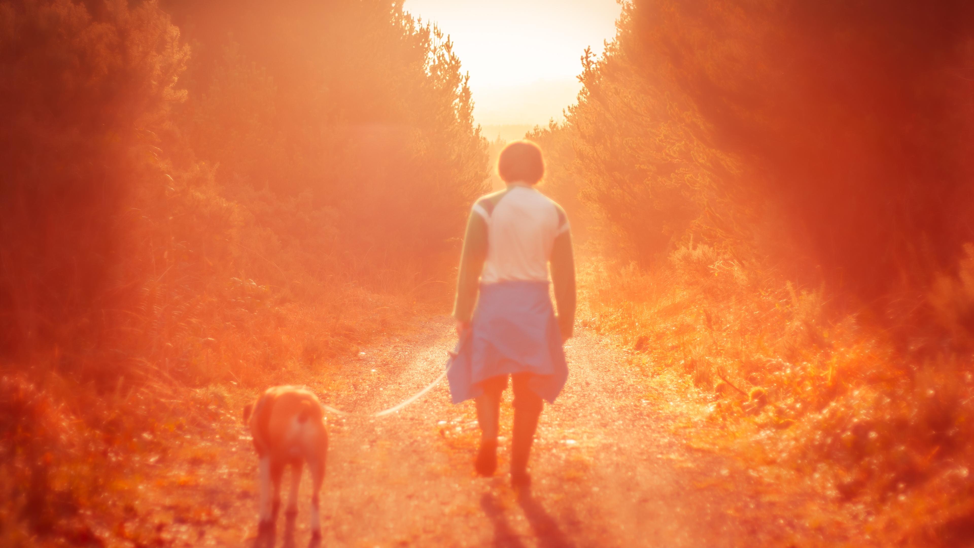 Photo of a person walking a dog on a sunlit forest path with a warm, orange glow in the background.